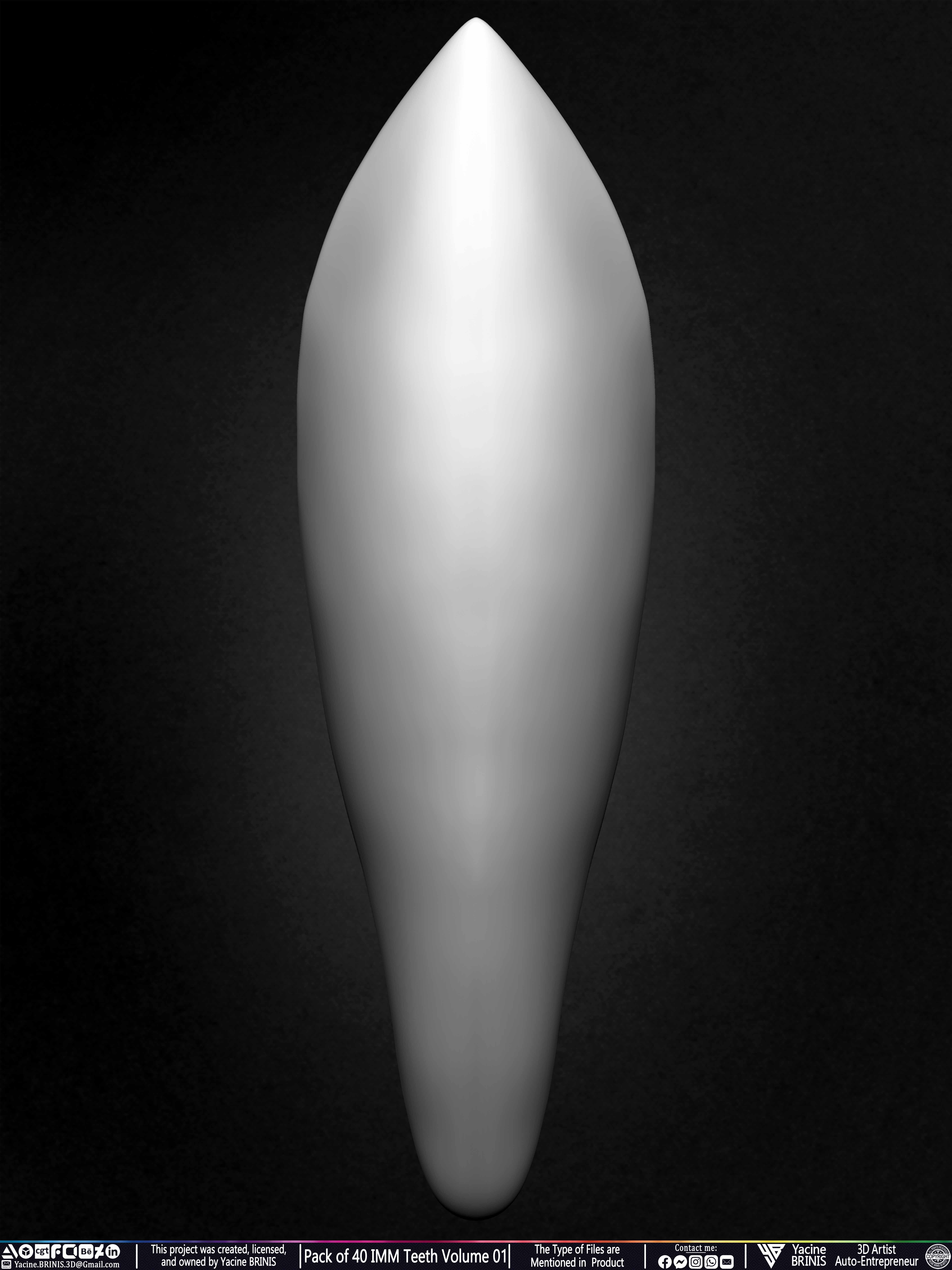 Pack of 40 IMM Teeth Volume 01 3D model_34