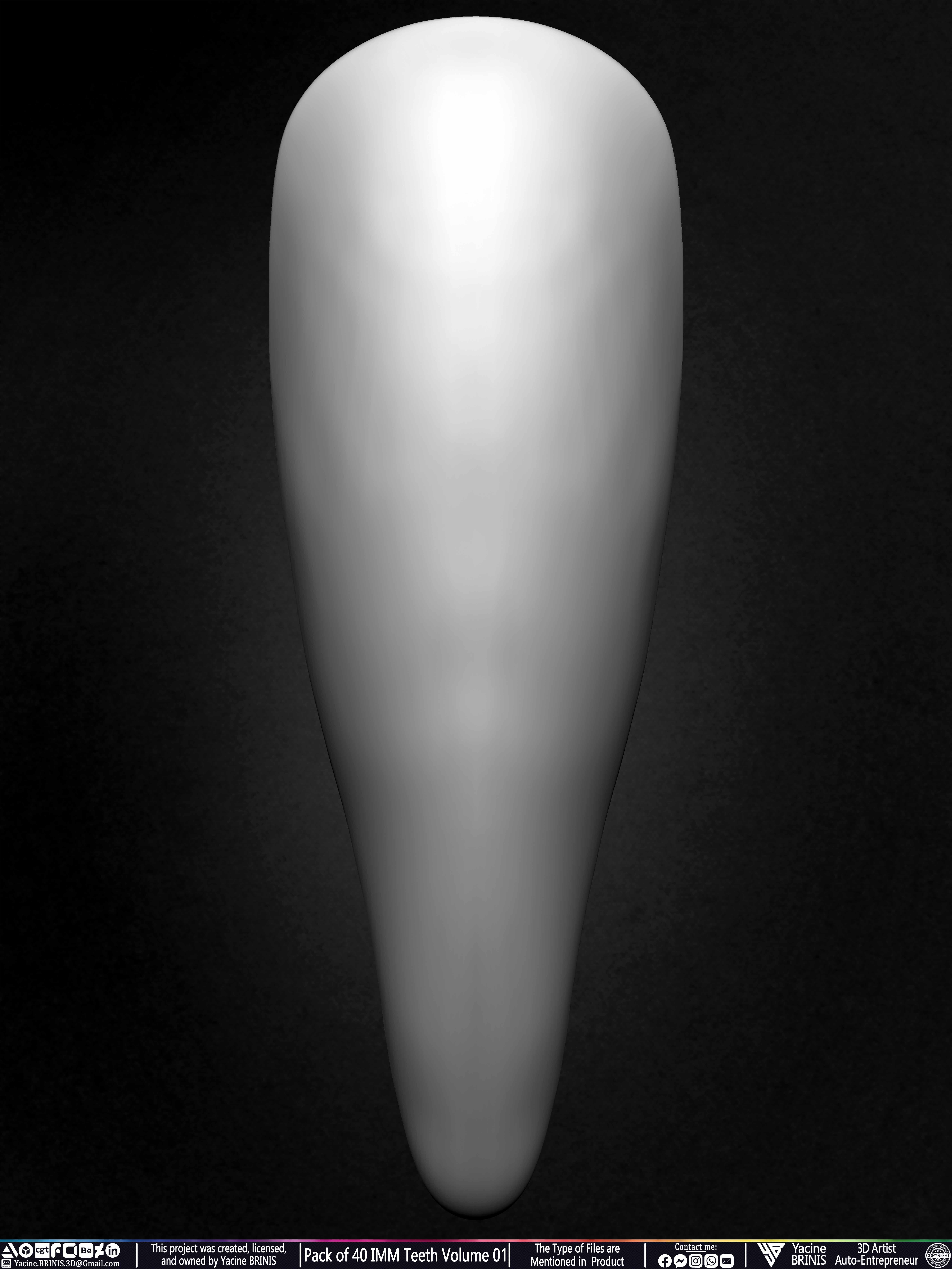 Pack of 40 IMM Teeth Volume 01 3D model_27