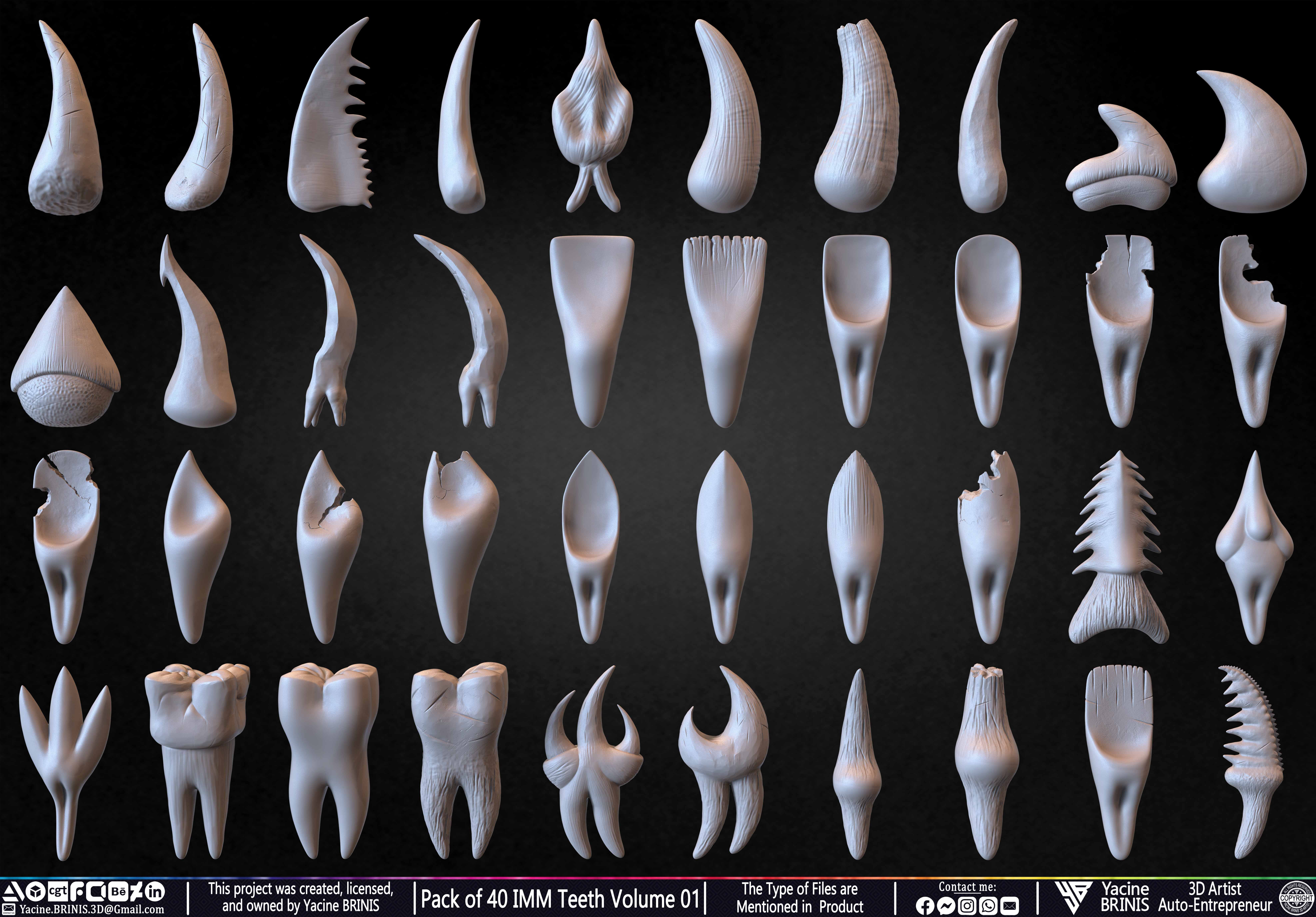 Pack of 40 IMM Teeth Volume 01 3D model_2