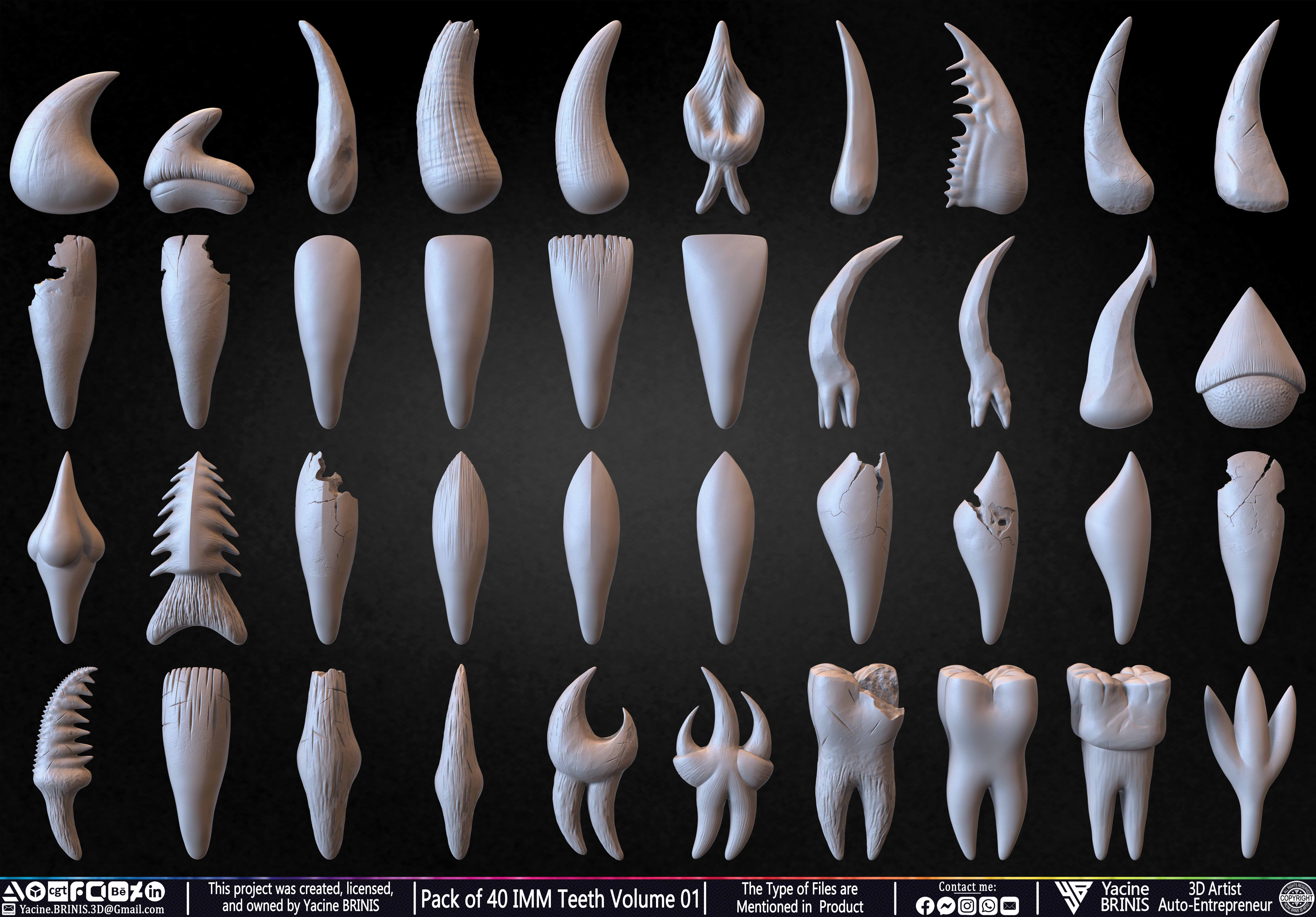 Pack of 40 IMM Teeth Volume 01 3D model_8