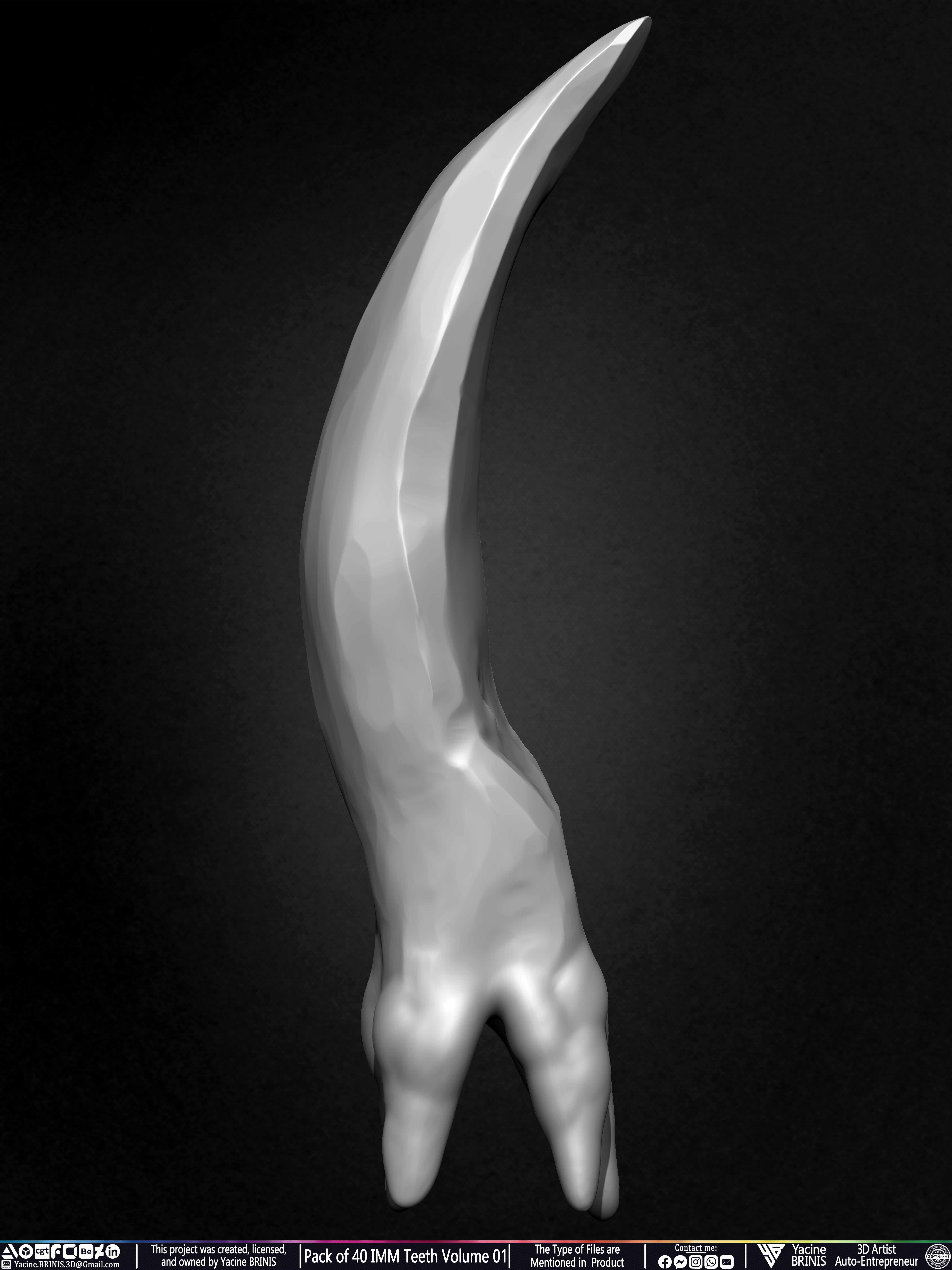 Pack of 40 IMM Teeth Volume 01 3D model_22