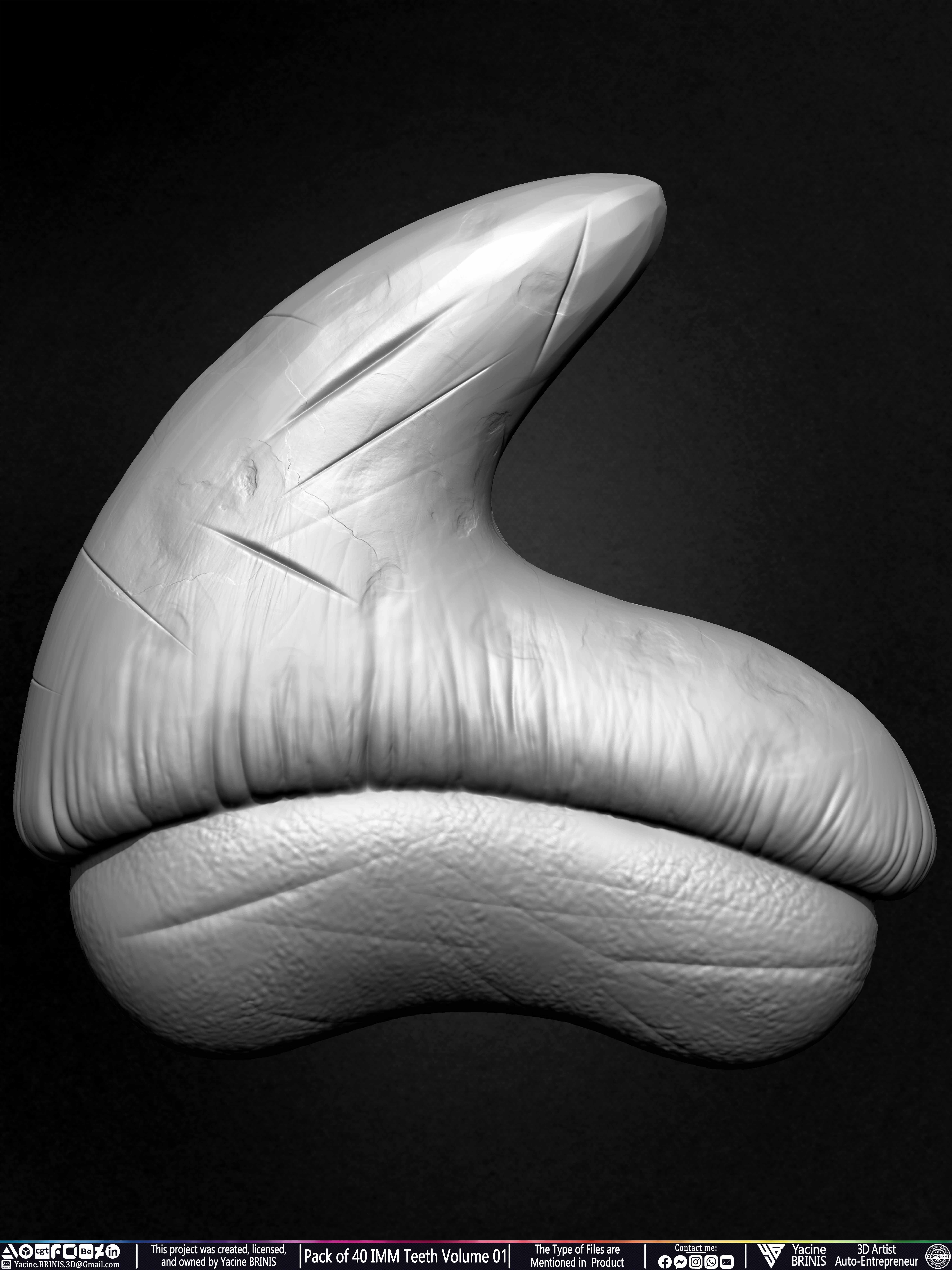 Pack of 40 IMM Teeth Volume 01 3D model_18