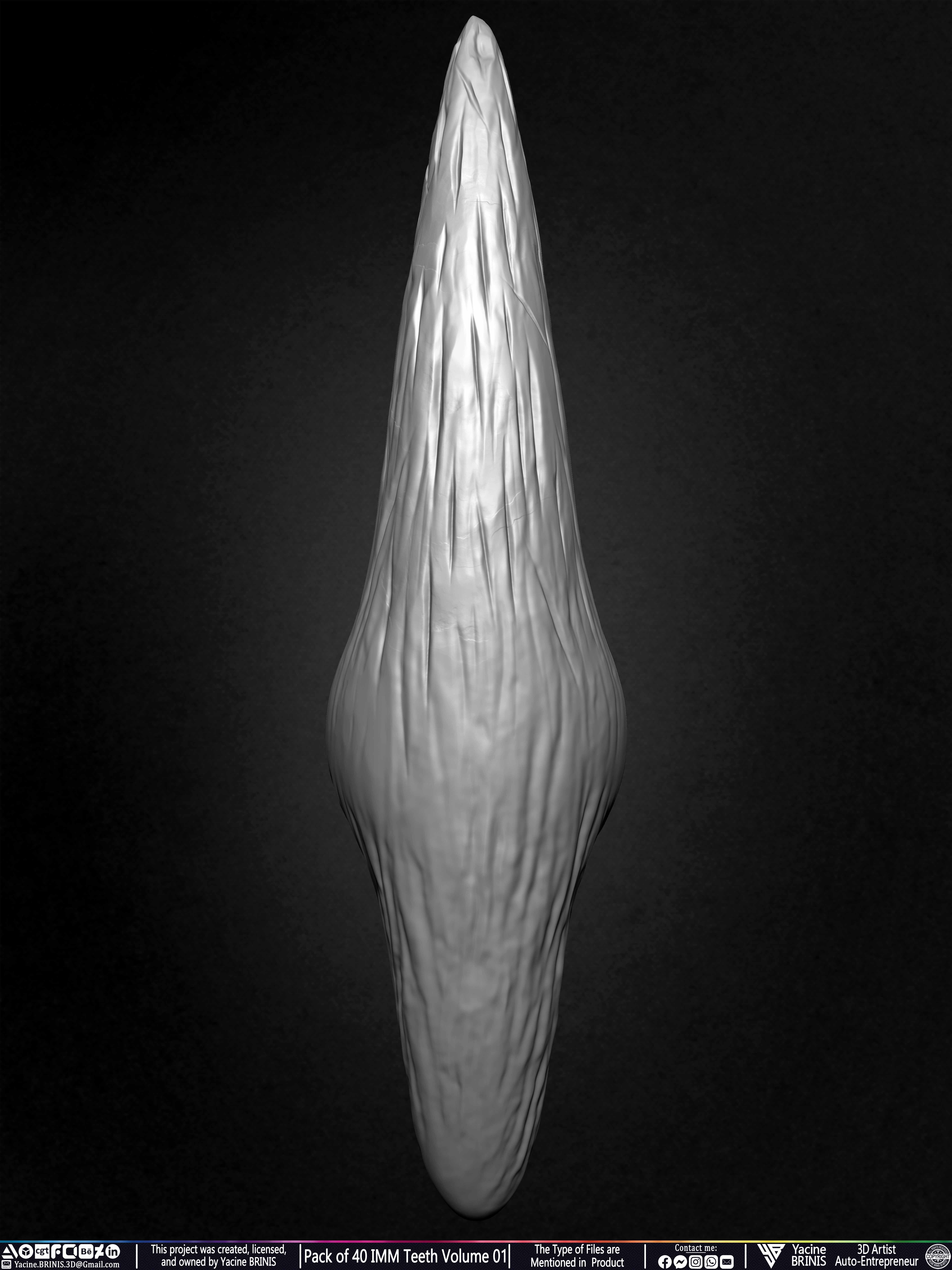Pack of 40 IMM Teeth Volume 01 3D model_46