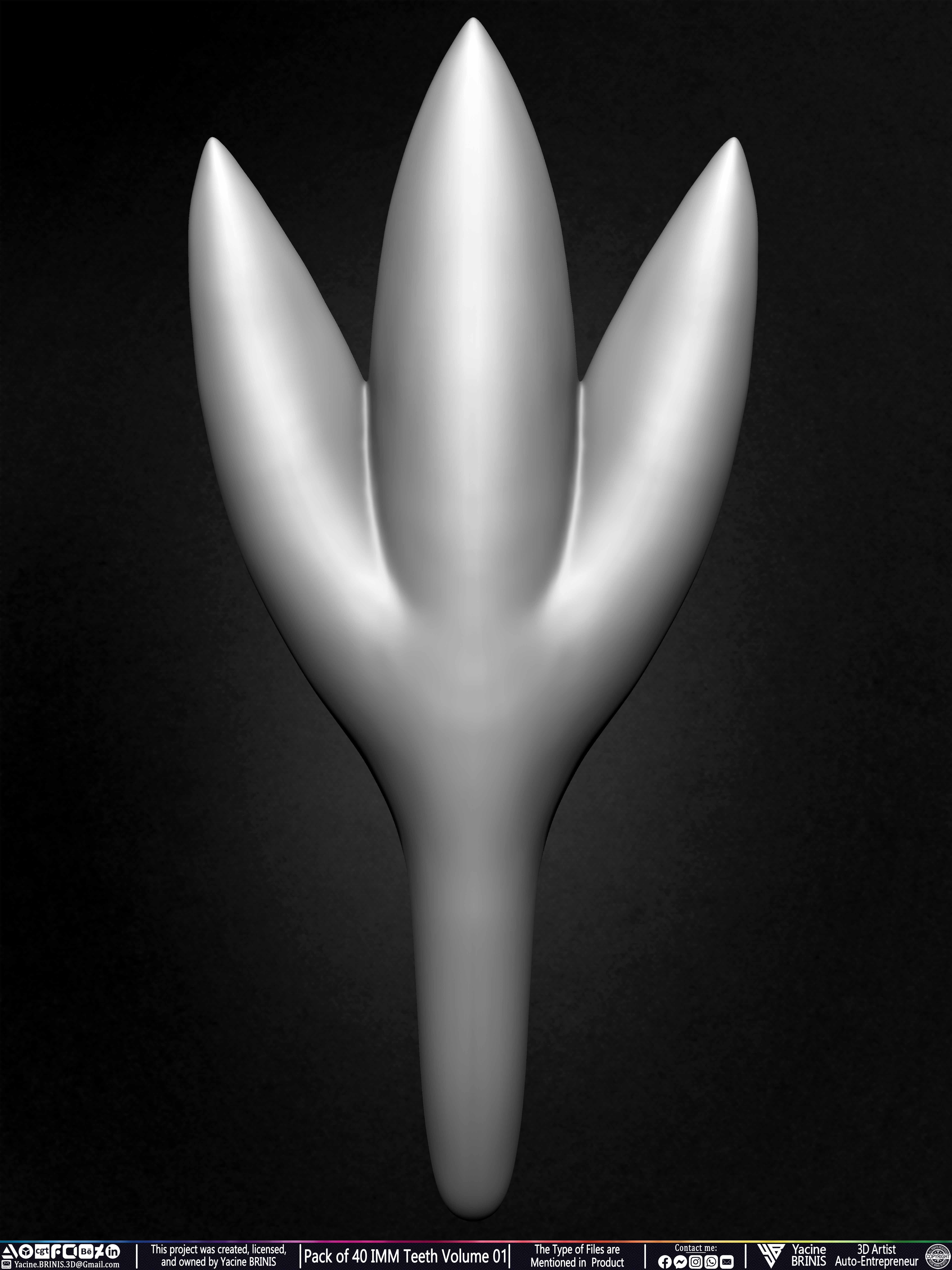 Pack of 40 IMM Teeth Volume 01 3D model_40