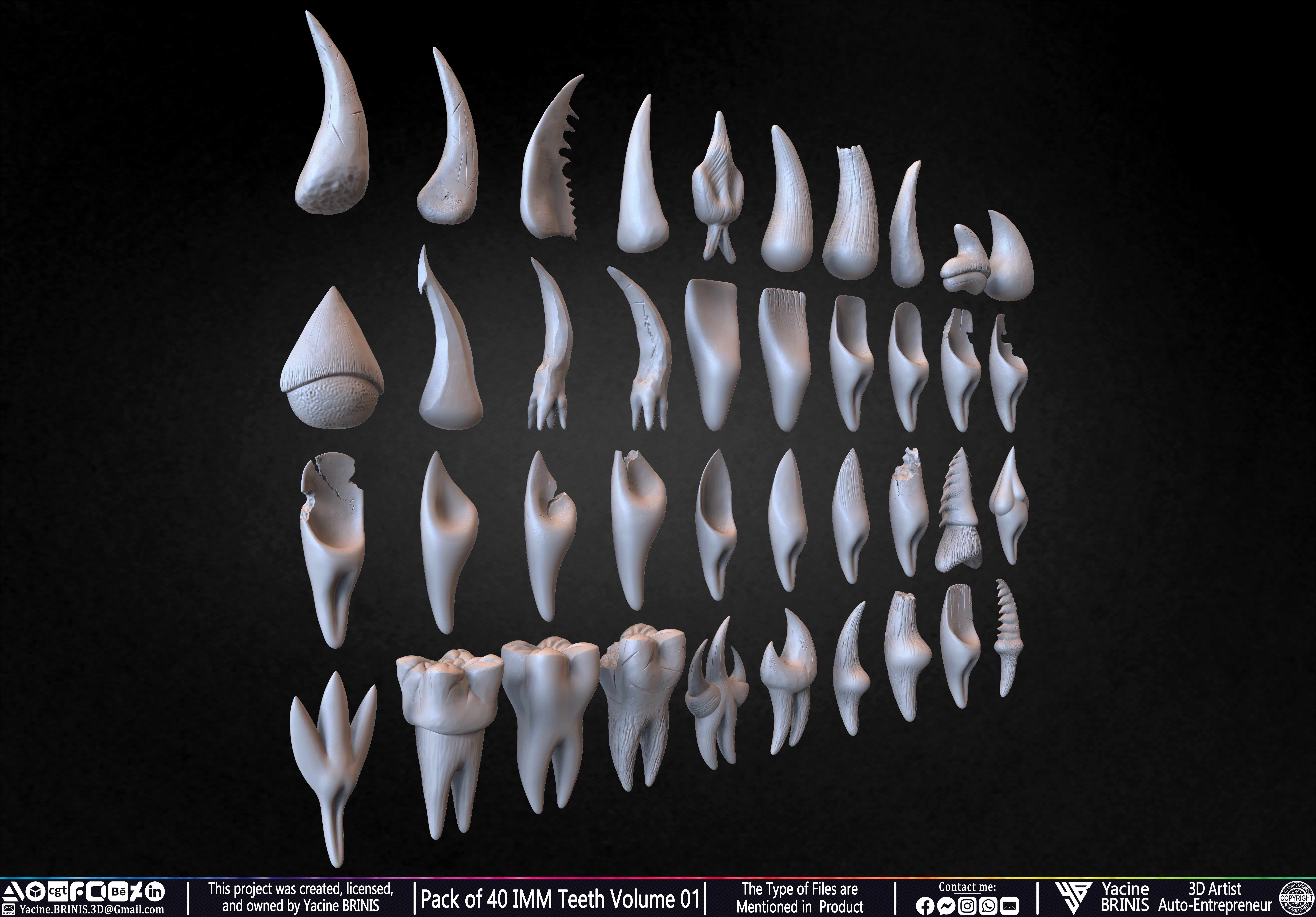 Pack of 40 IMM Teeth Volume 01 3D model_7
