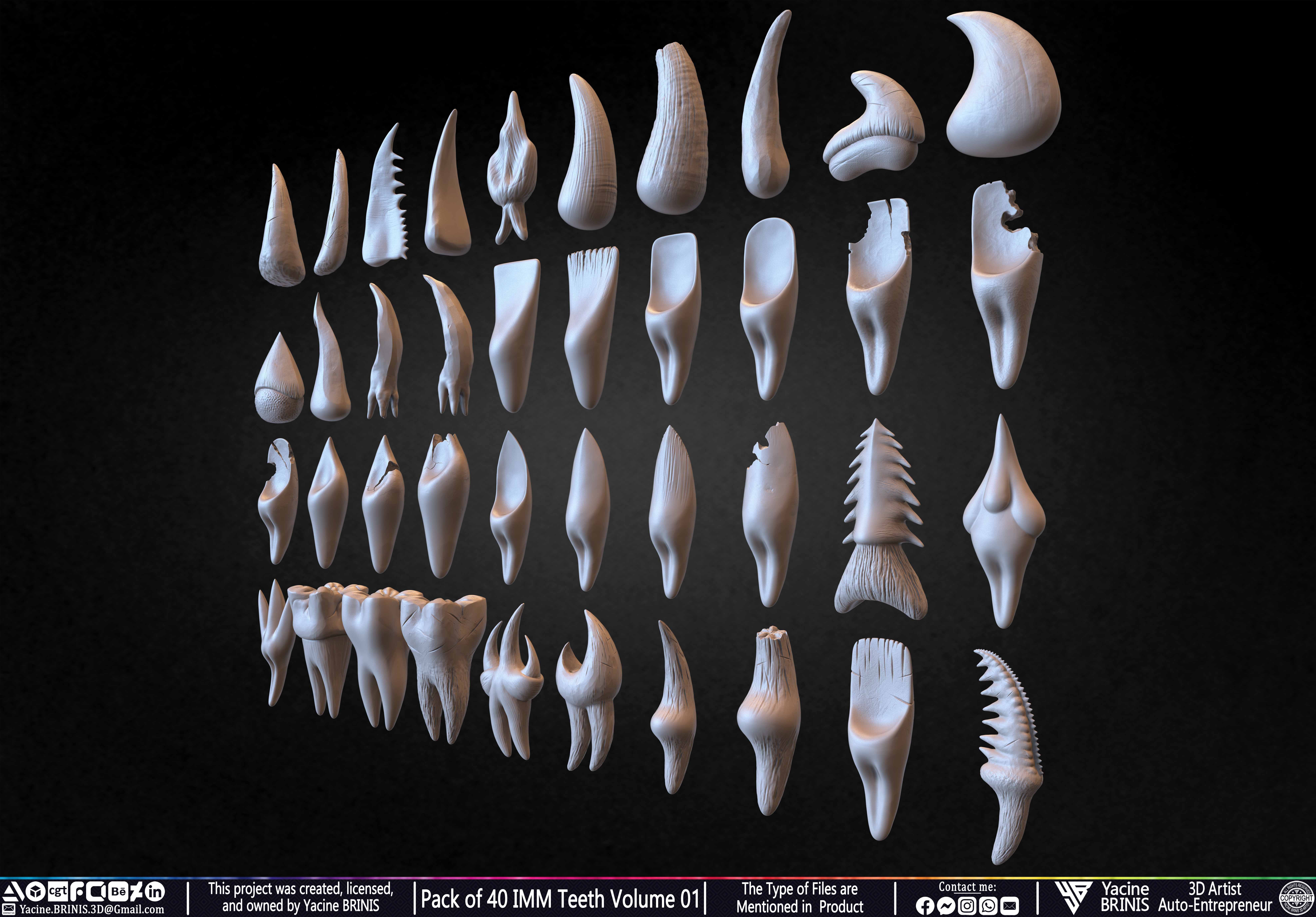 Pack of 40 IMM Teeth Volume 01 3D model_5