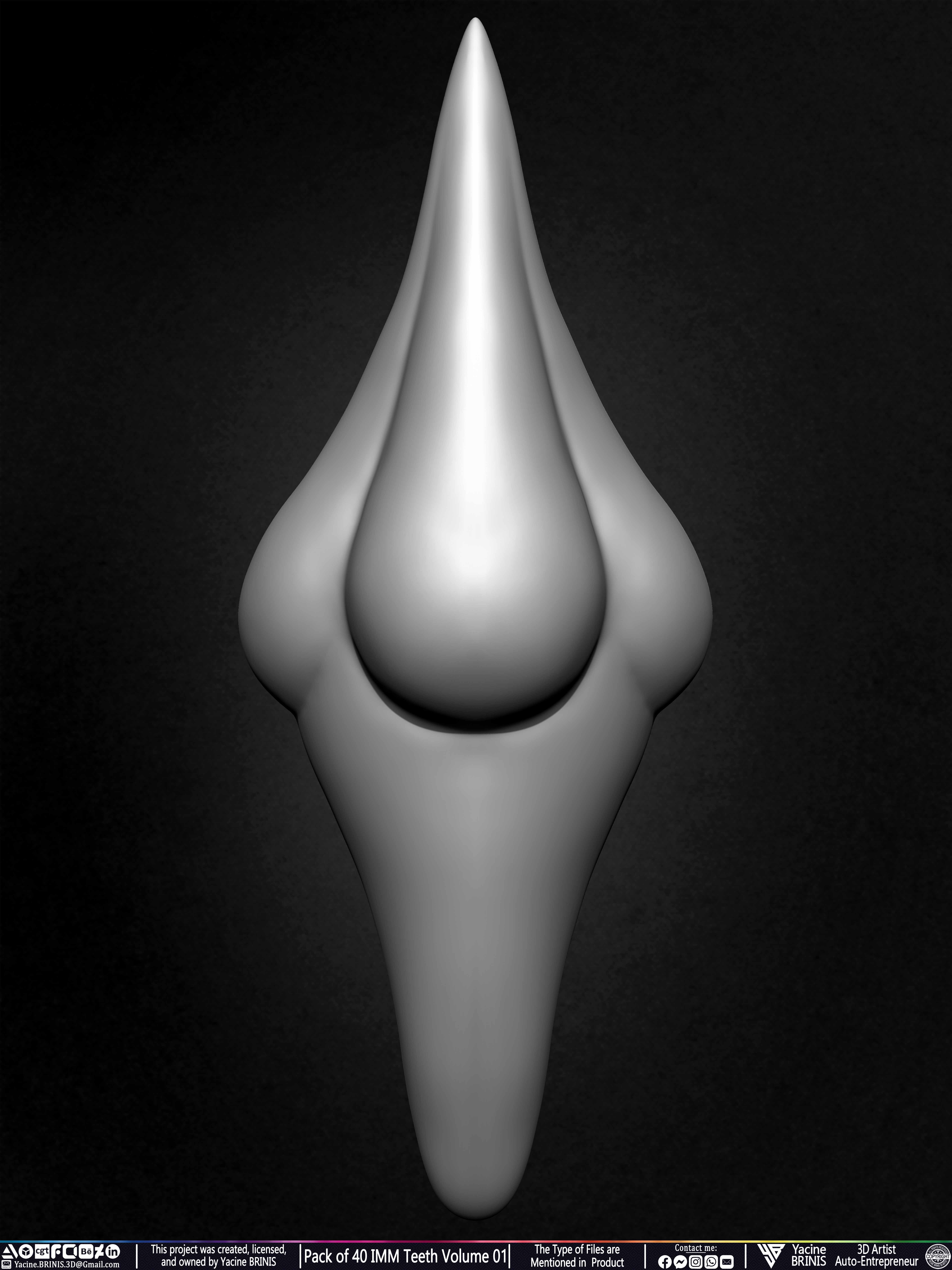 Pack of 40 IMM Teeth Volume 01 3D model_39