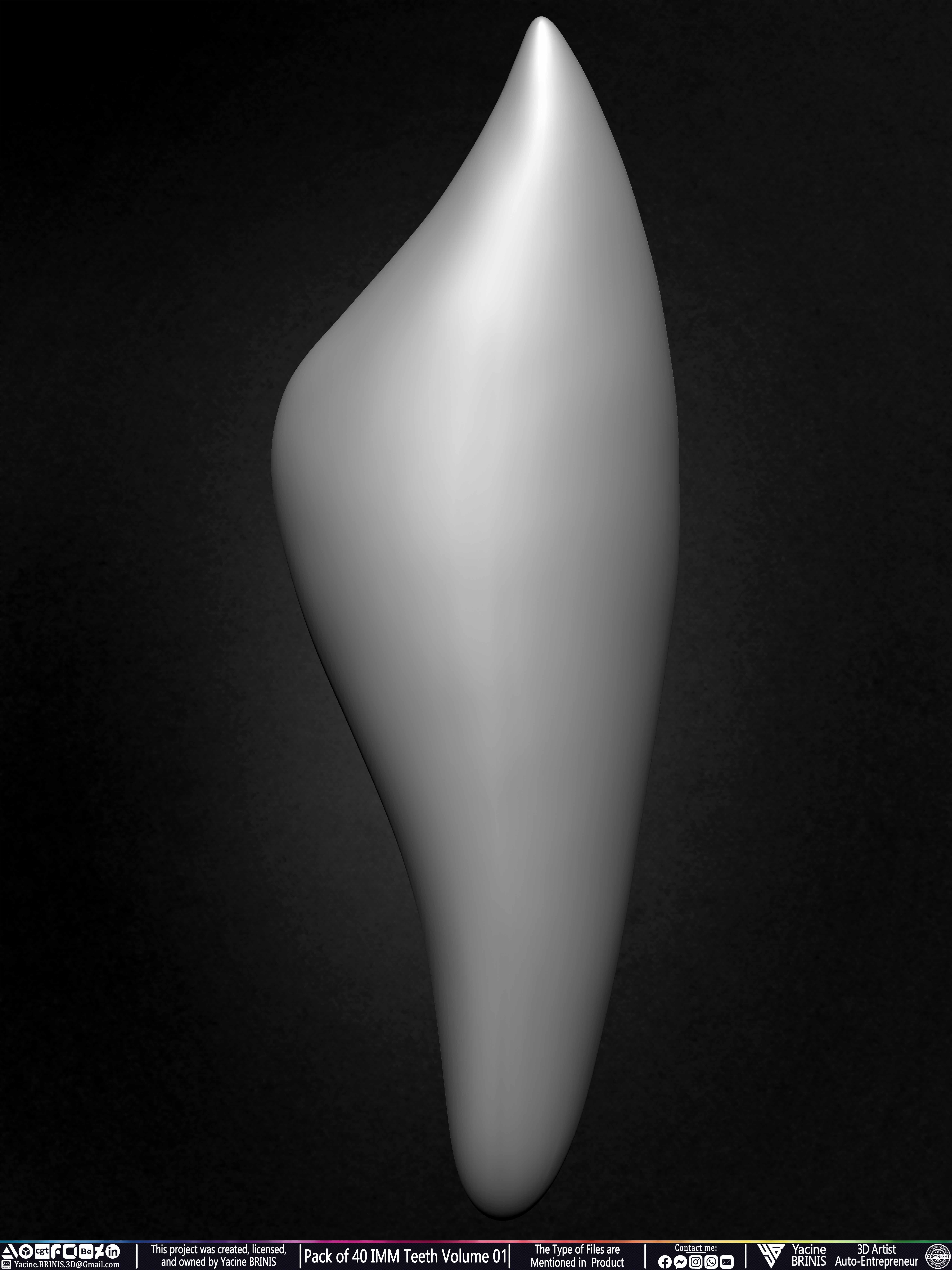 Pack of 40 IMM Teeth Volume 01 3D model_31