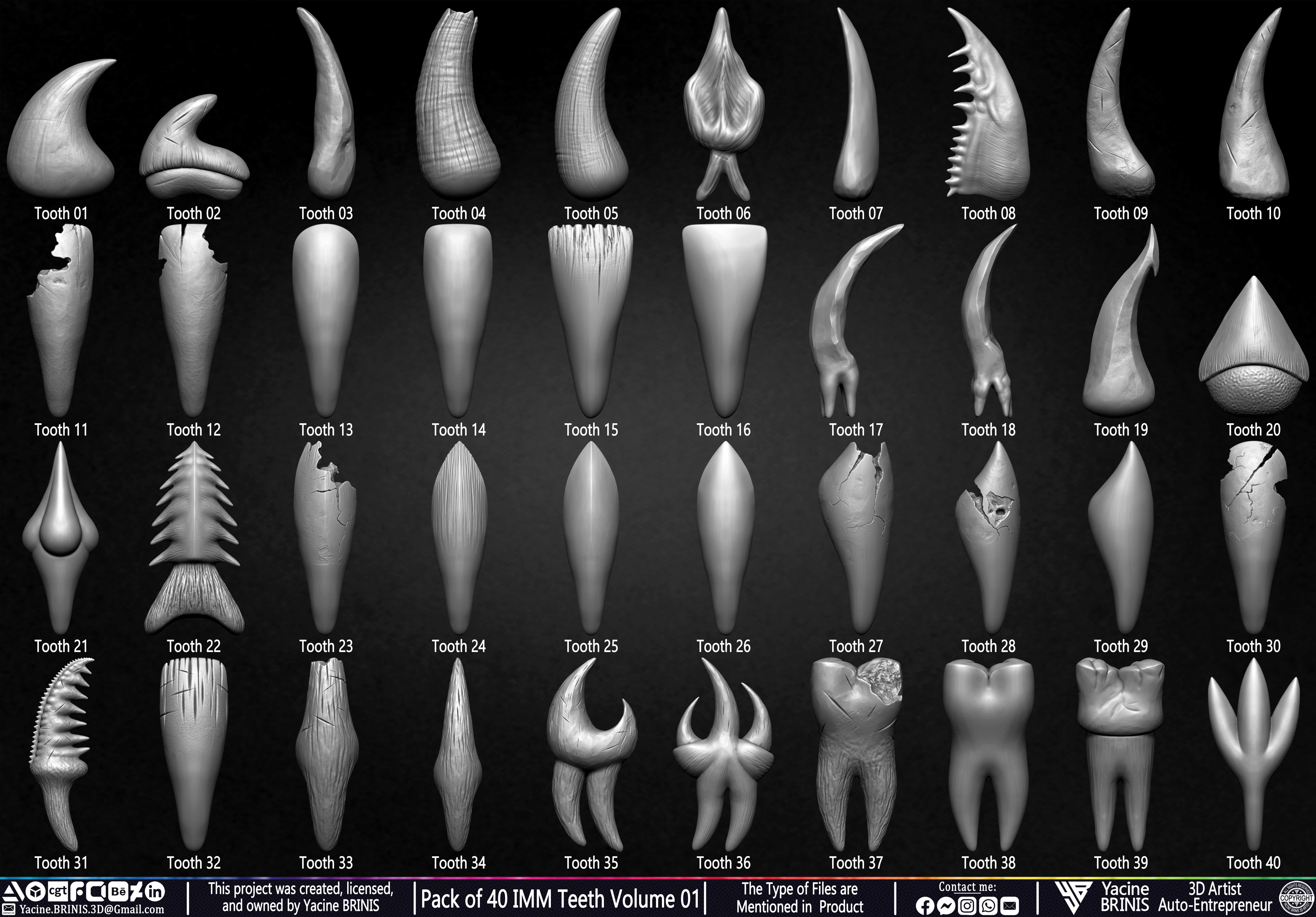 Pack of 40 IMM Teeth Volume 01 3D model_1