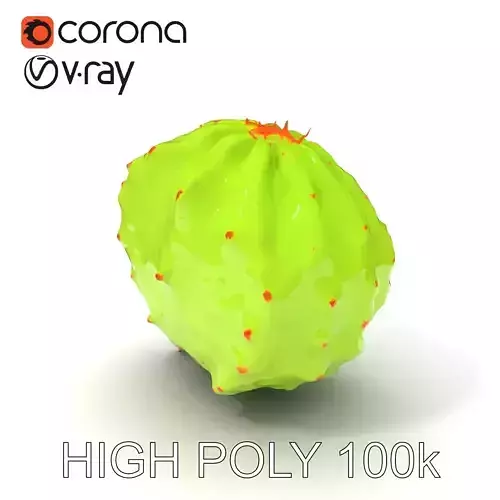 Cactus Model Pack with Detailed Spines and Textures