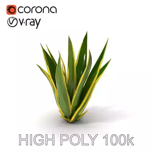 Agave Plant Model Pack with Realistic Textures Low-poly 3D model