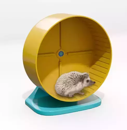 Rueda Wheel Hedgehog Erizo Hamster  Guinea pig  chinchilla 3D print model