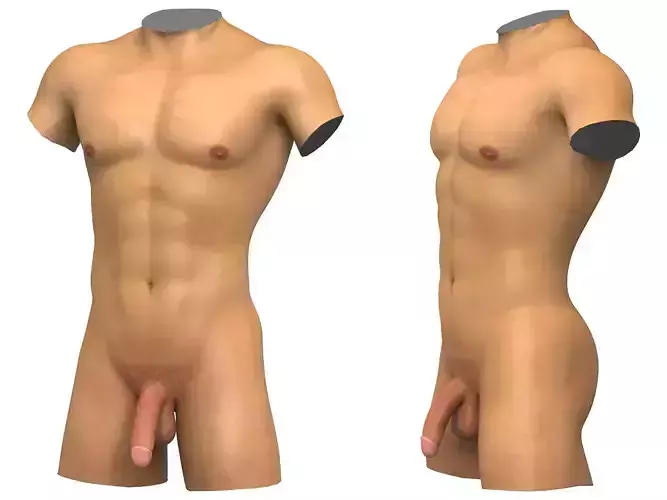 Realistic Adult Man Torso