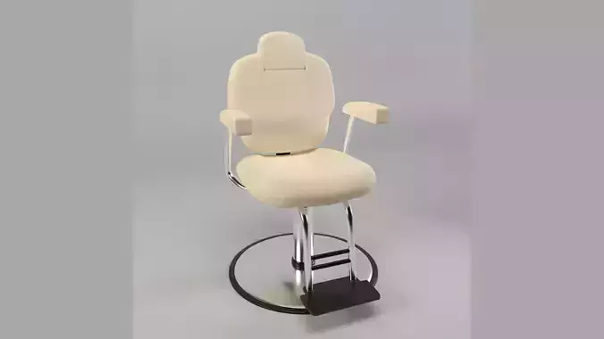 Modern Barber and Salon Styling Chair Seat Furniture