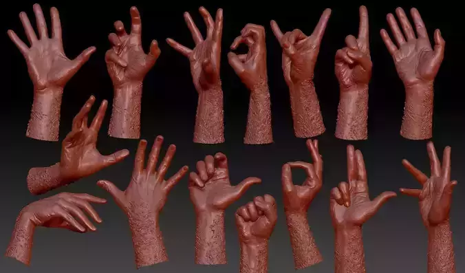 15 3D Scanned Hands 3D model