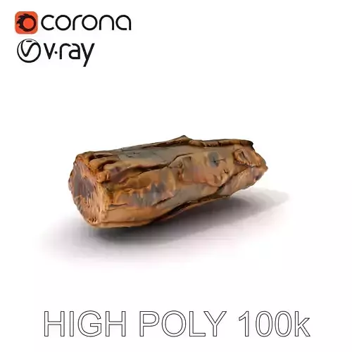 Tree Bark Texture Model Pack with High Detail