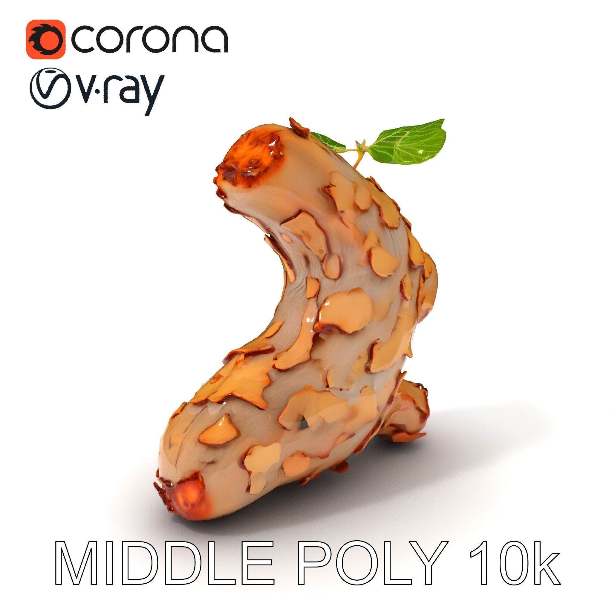 Dry Tree Branch with Leaves Model Pack Low-poly 3D model_11