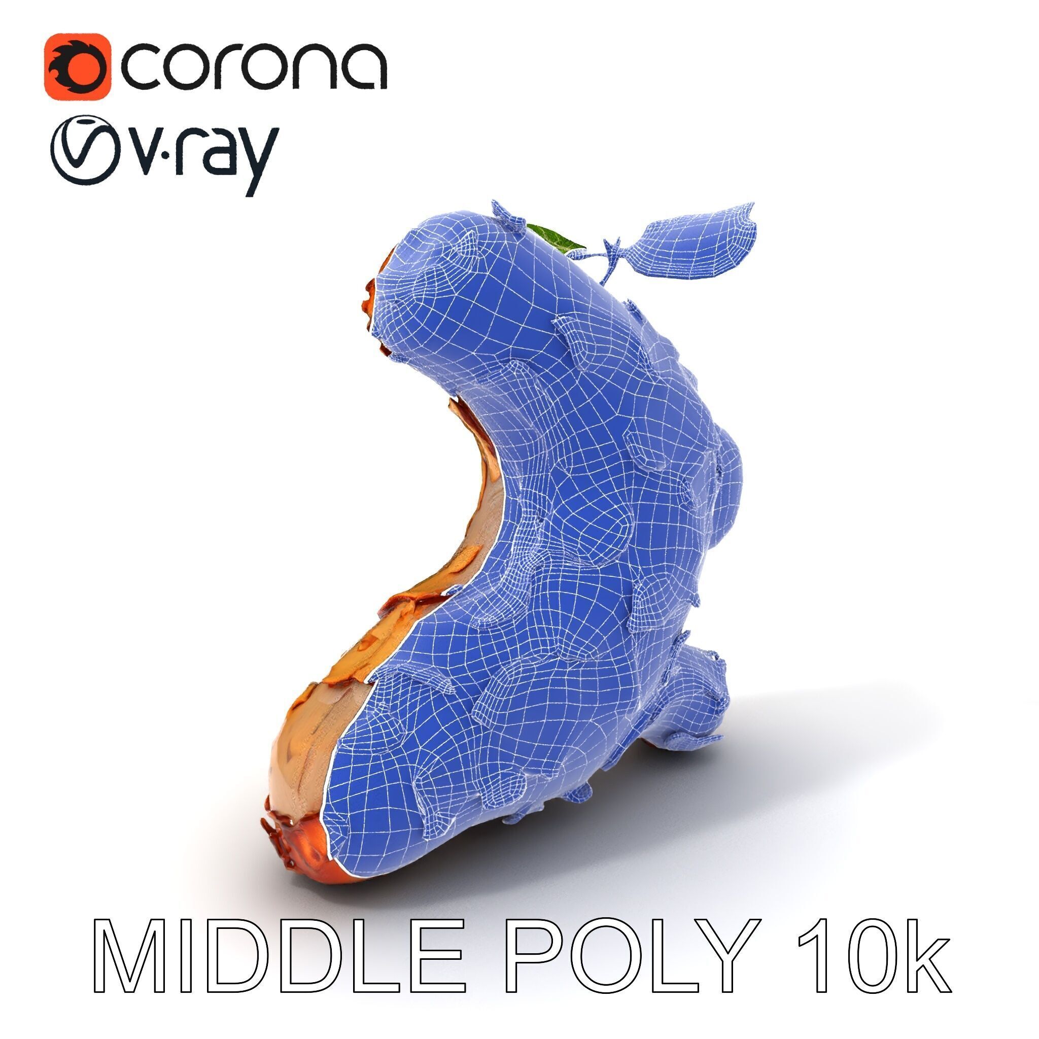 Dry Tree Branch with Leaves Model Pack Low-poly 3D model_25