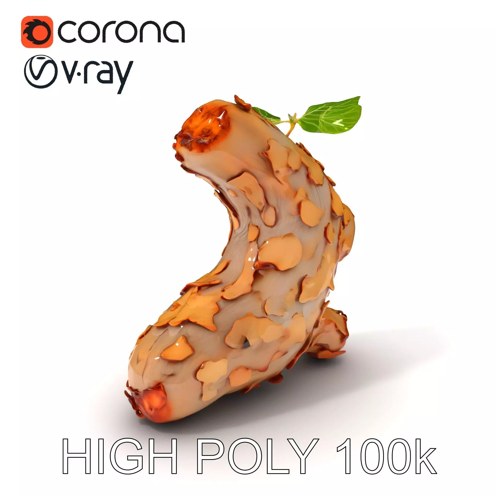 Dry Tree Branch with Leaves Model Pack Low-poly 3D model_0