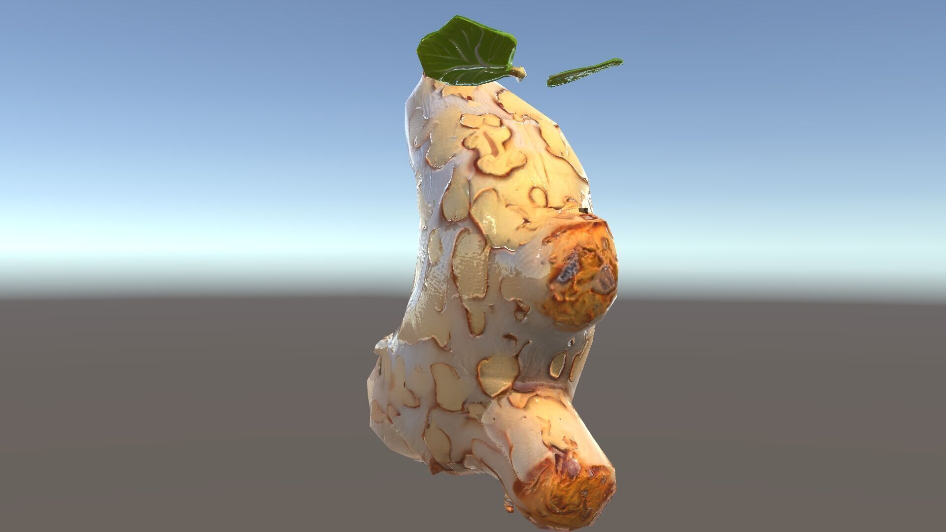 Dry Tree Branch with Leaves Model Pack Low-poly 3D model_15