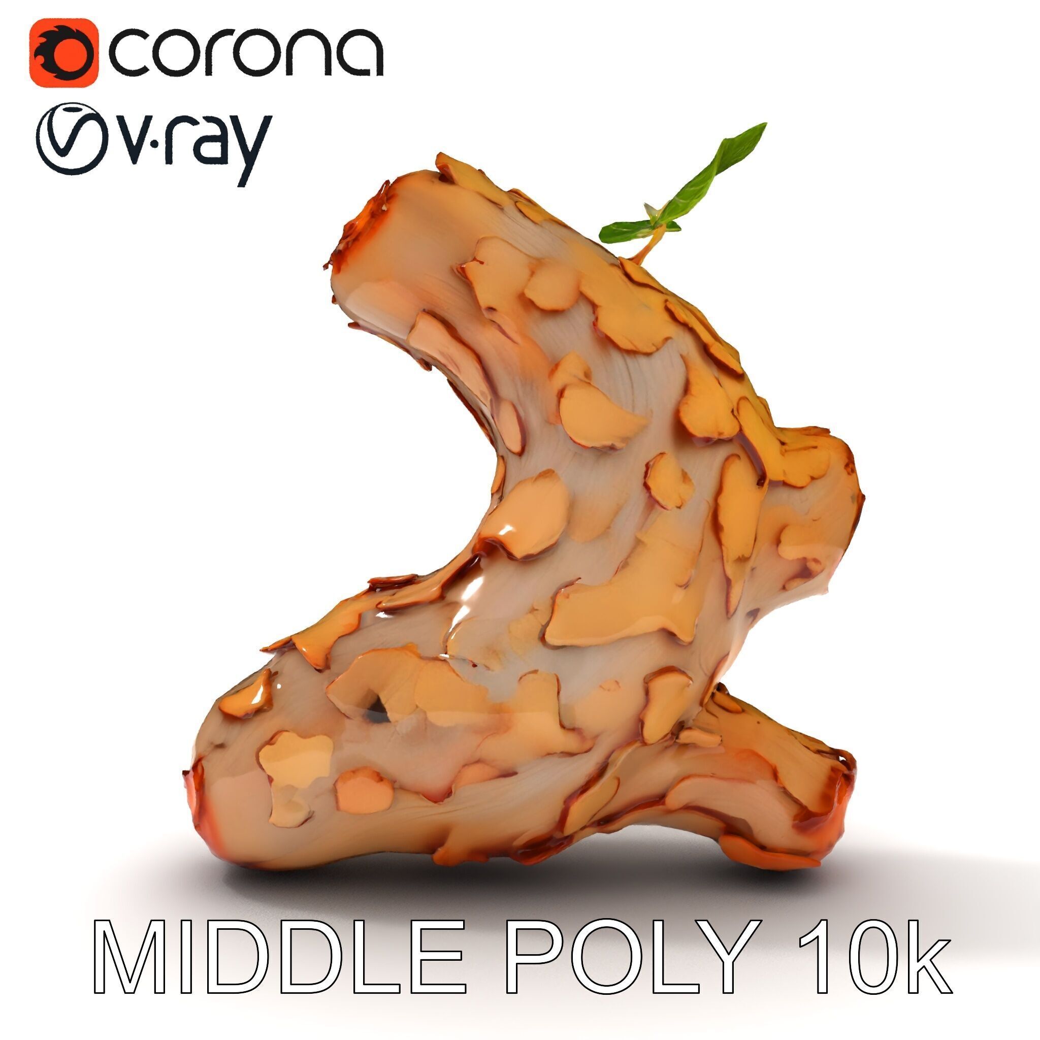 Dry Tree Branch with Leaves Model Pack Low-poly 3D model_29