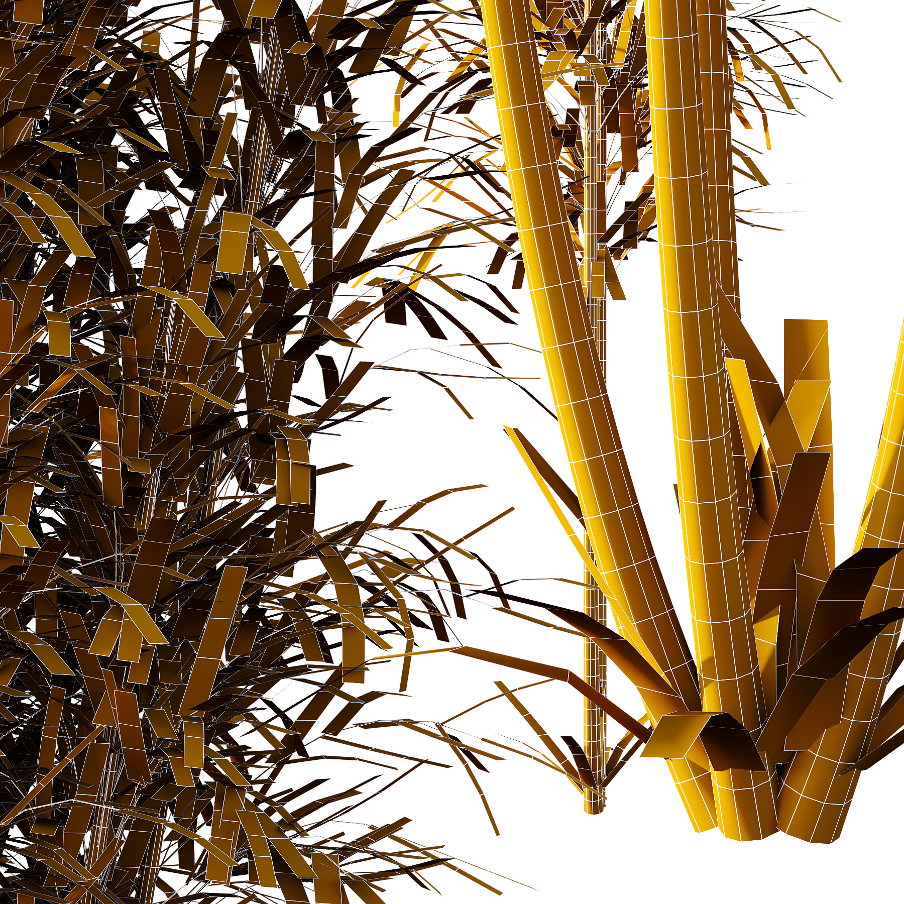 Bamboo Bambusoideae Bush 02 3D model_6