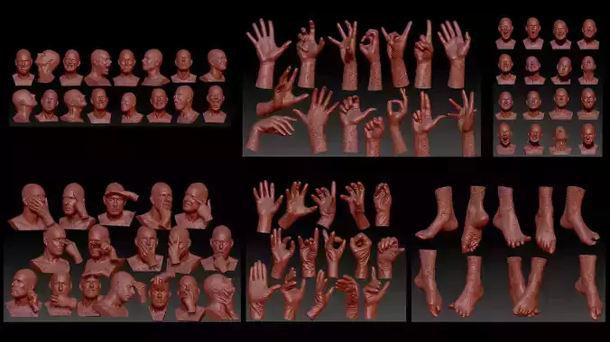 89 Scanned Hands Feet Gloves and Heads with Expression Animation 3D Model Collection