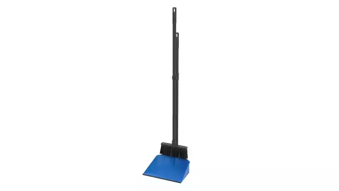 Dustpan with brush