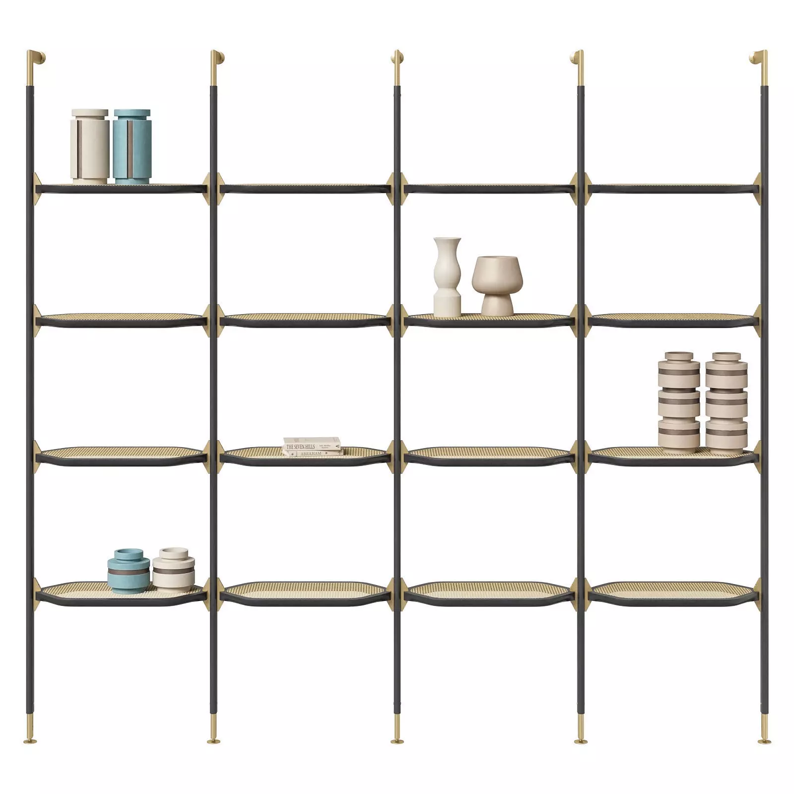 Baxter Libelle bookcase 3D model_0