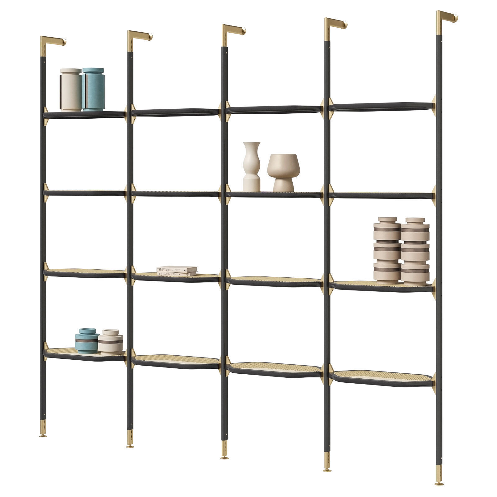 Baxter Libelle bookcase 3D model_1