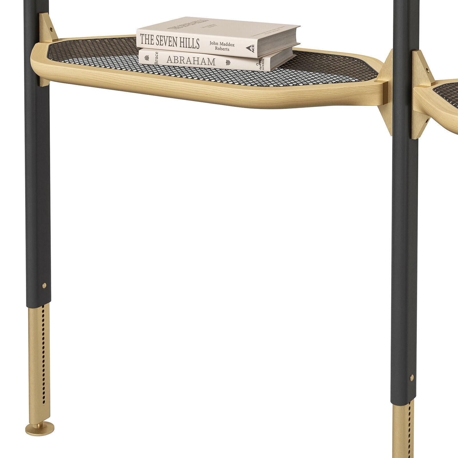 Baxter Libelle shelving 3D model_4