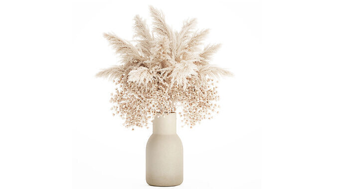 White Bouquet Dried Flowers Gypsophila Cortaderia 564 3D model
