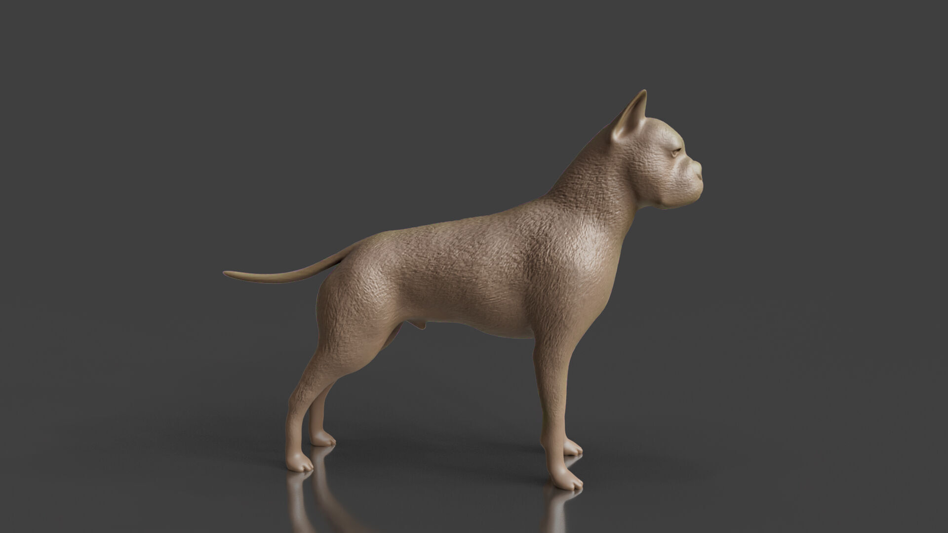 3D Print Ready German Boxer Dog Toy Model 3D print model_1