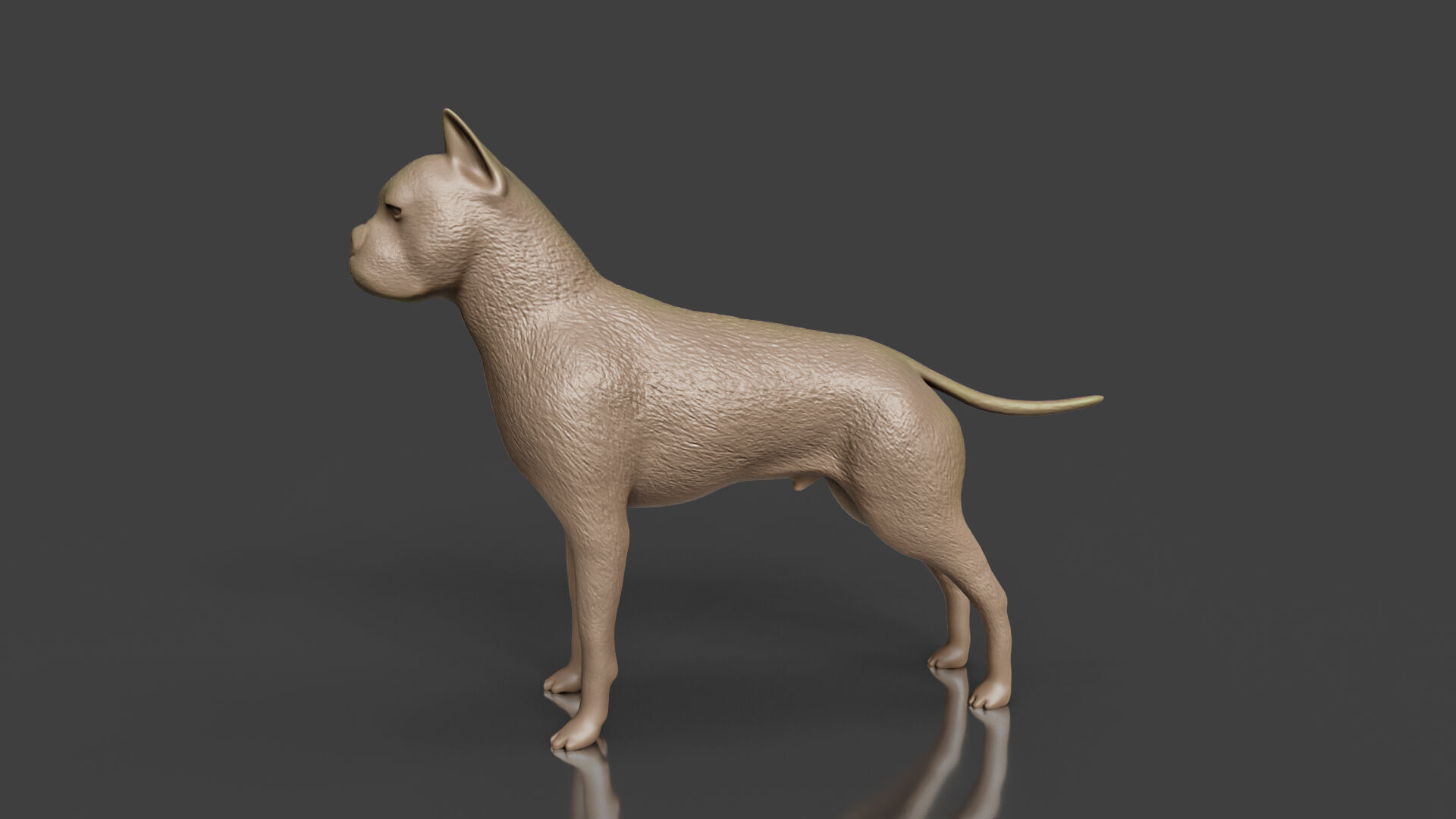 3D Print Ready German Boxer Dog Toy Model 3D print model_4