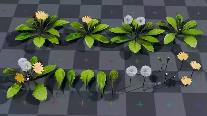 Dandelion 3d Model Asset Pack