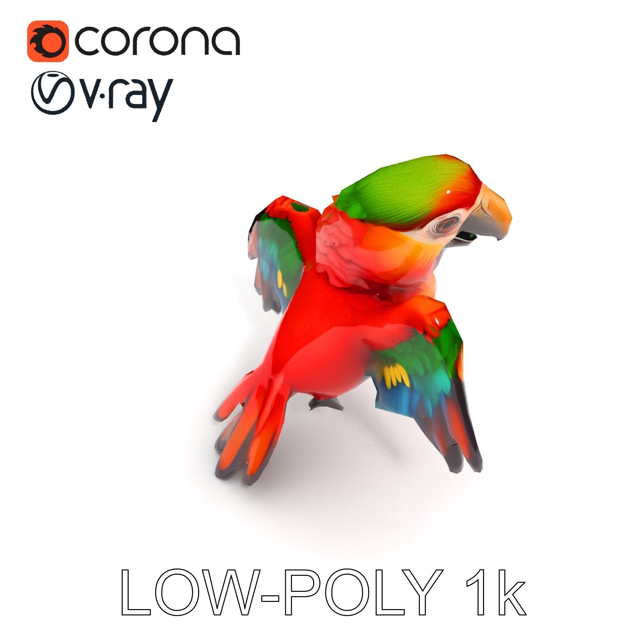 Colorful Parrot D Model Pack for Animation and Games Low-poly 3D model_7