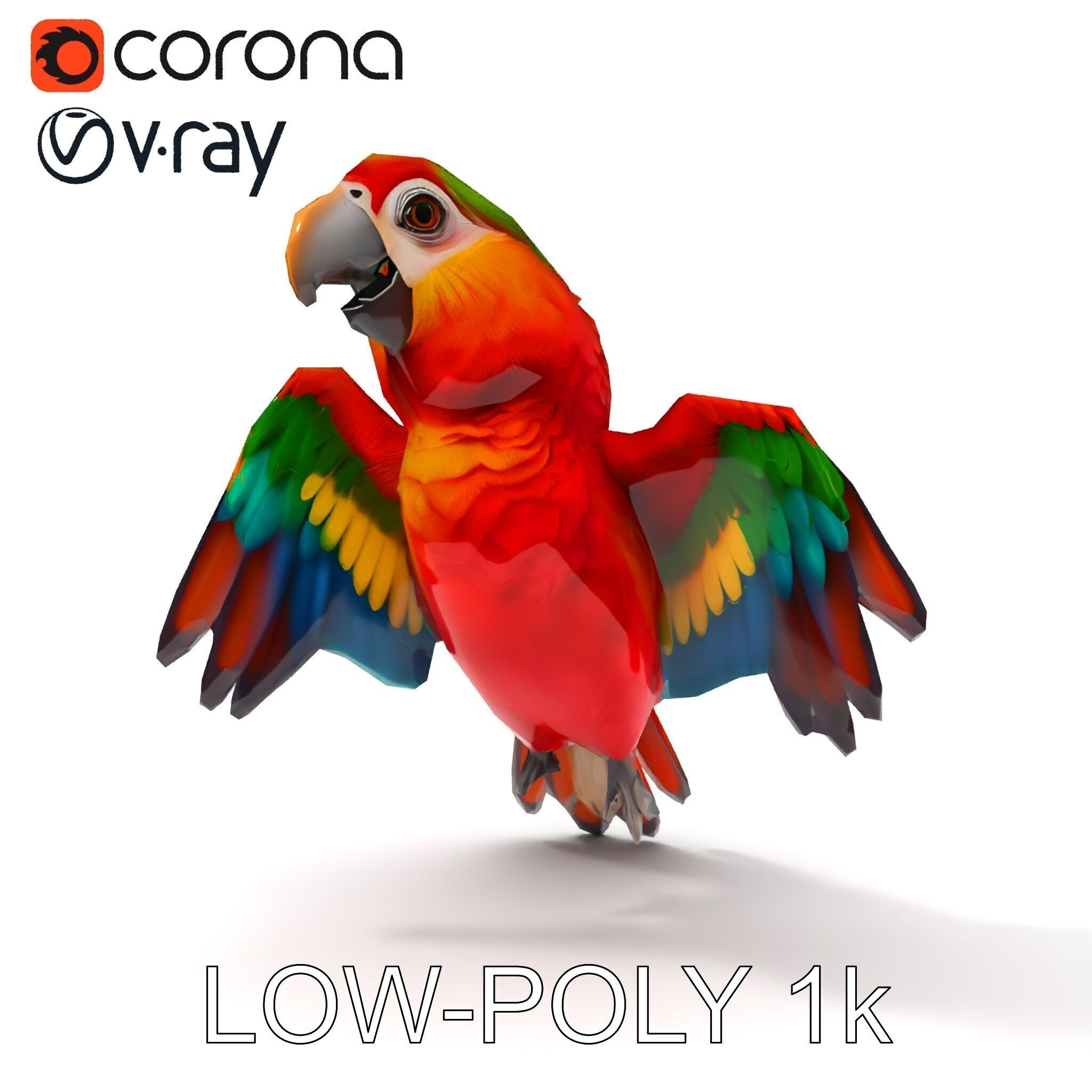 Colorful Parrot D Model Pack for Animation and Games Low-poly 3D model_24