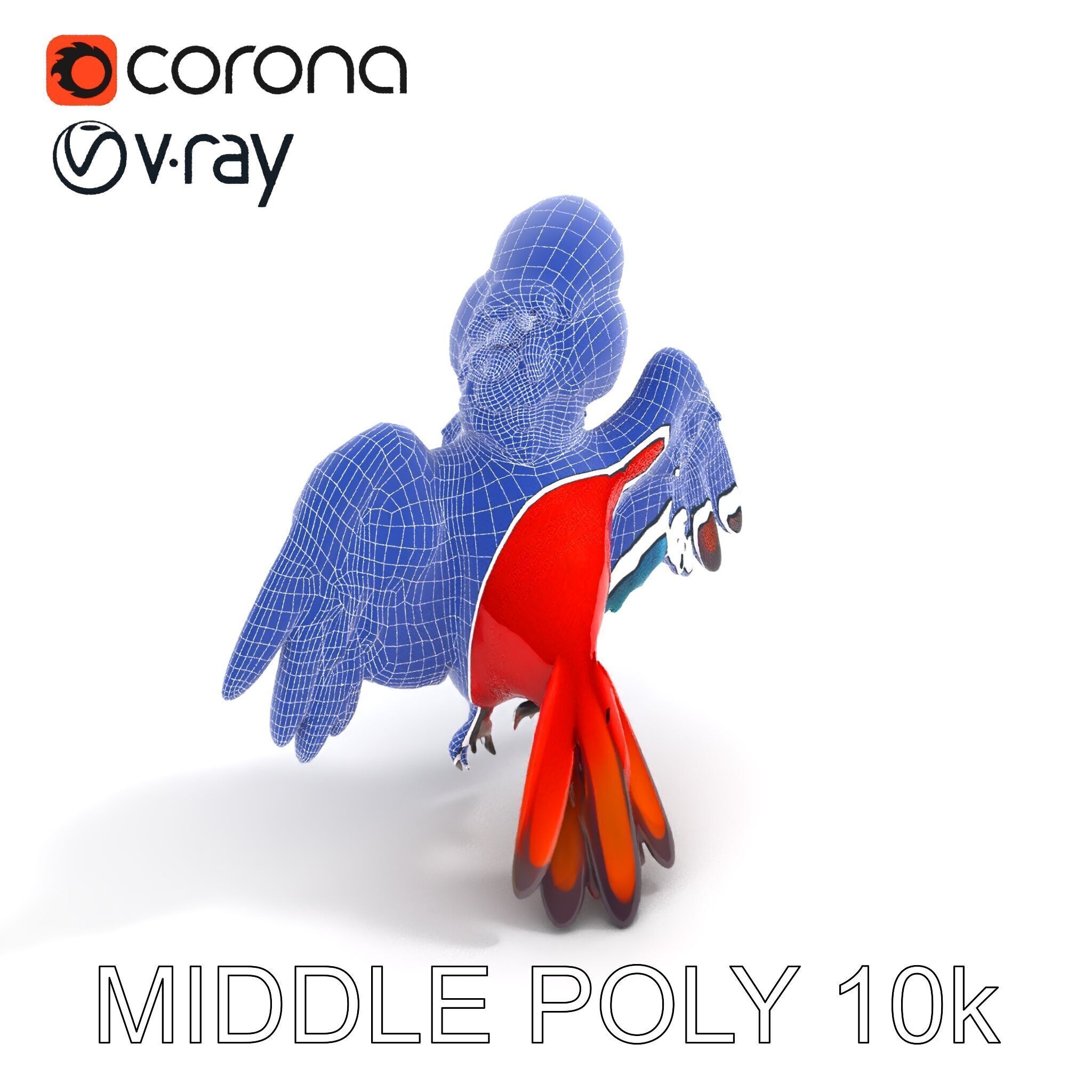 Colorful Parrot D Model Pack for Animation and Games Low-poly 3D model_23