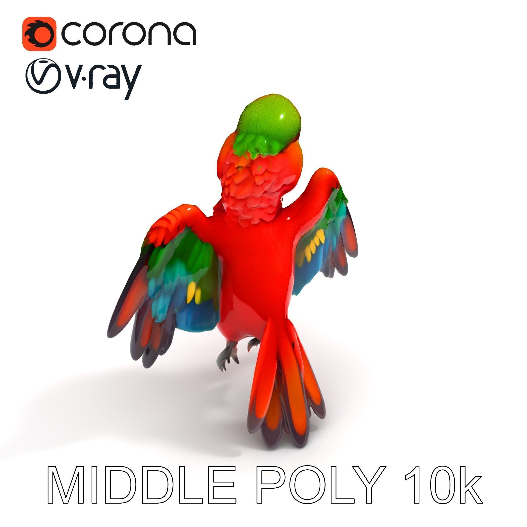 Colorful Parrot D Model Pack for Animation and Games Low-poly 3D model_15