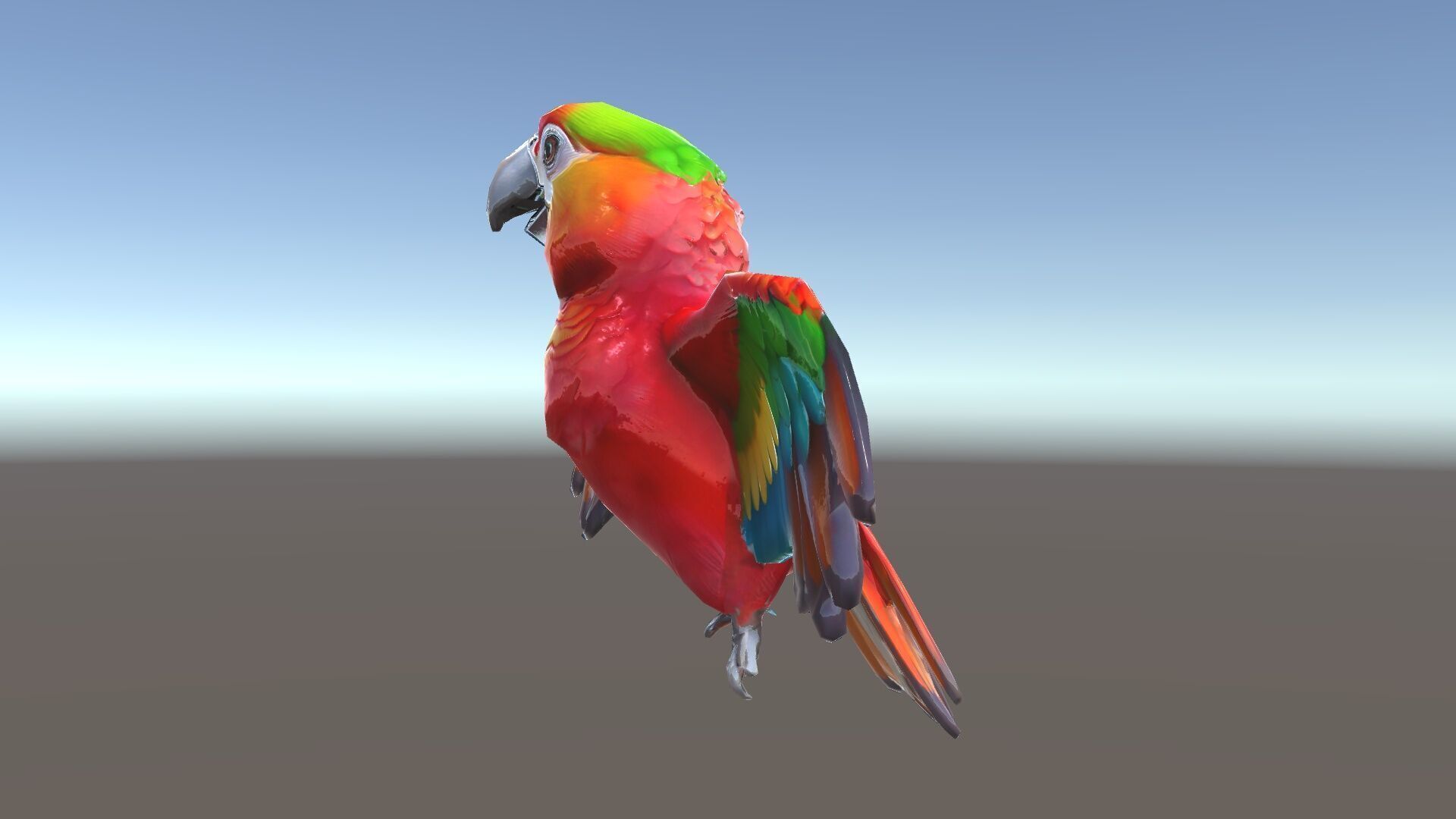 Colorful Parrot D Model Pack for Animation and Games Low-poly 3D model_19