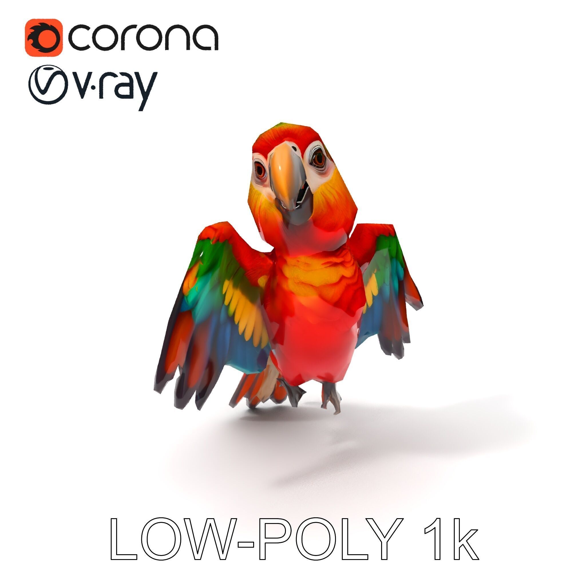 Colorful Parrot D Model Pack for Animation and Games Low-poly 3D model_29