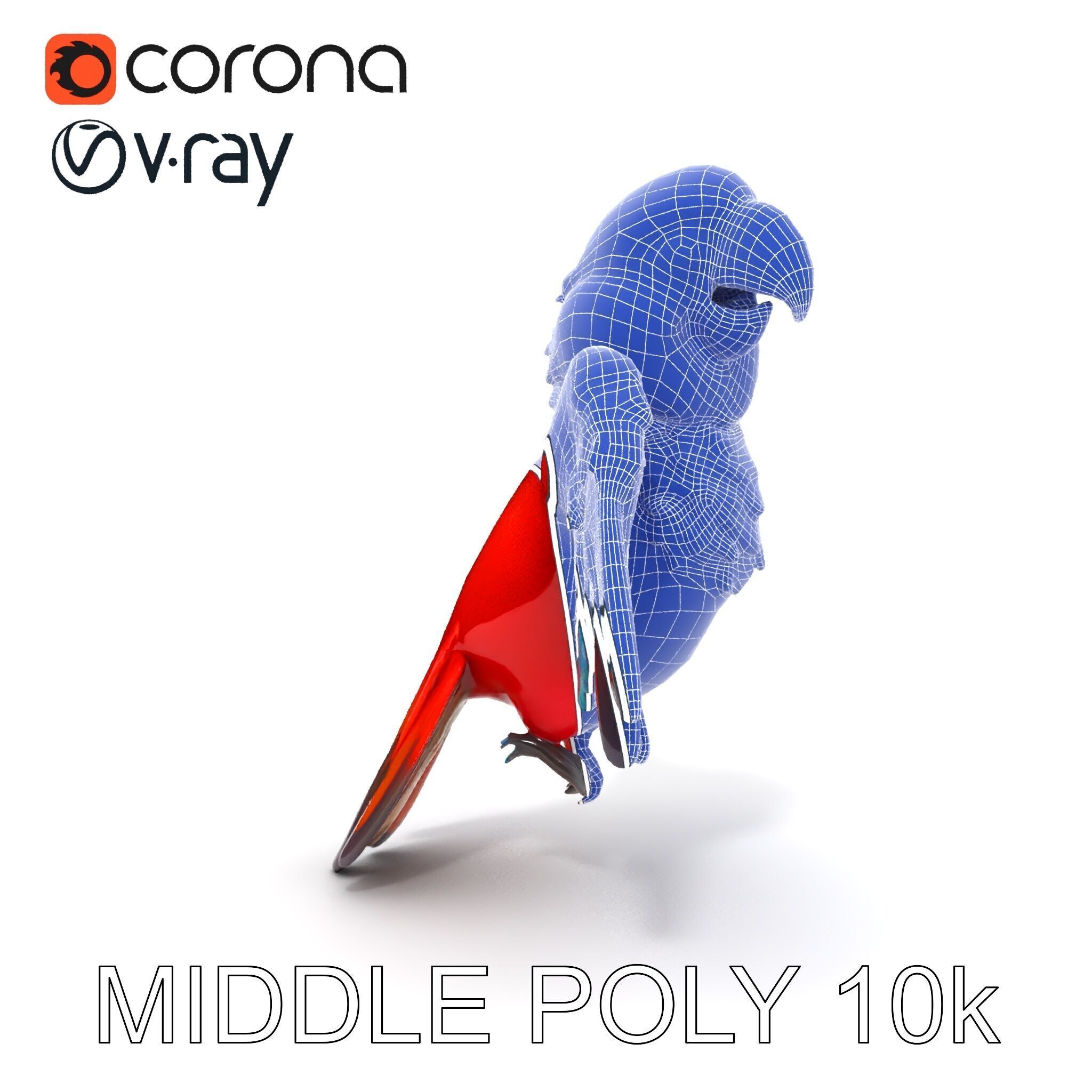 Colorful Parrot D Model Pack for Animation and Games Low-poly 3D model_9