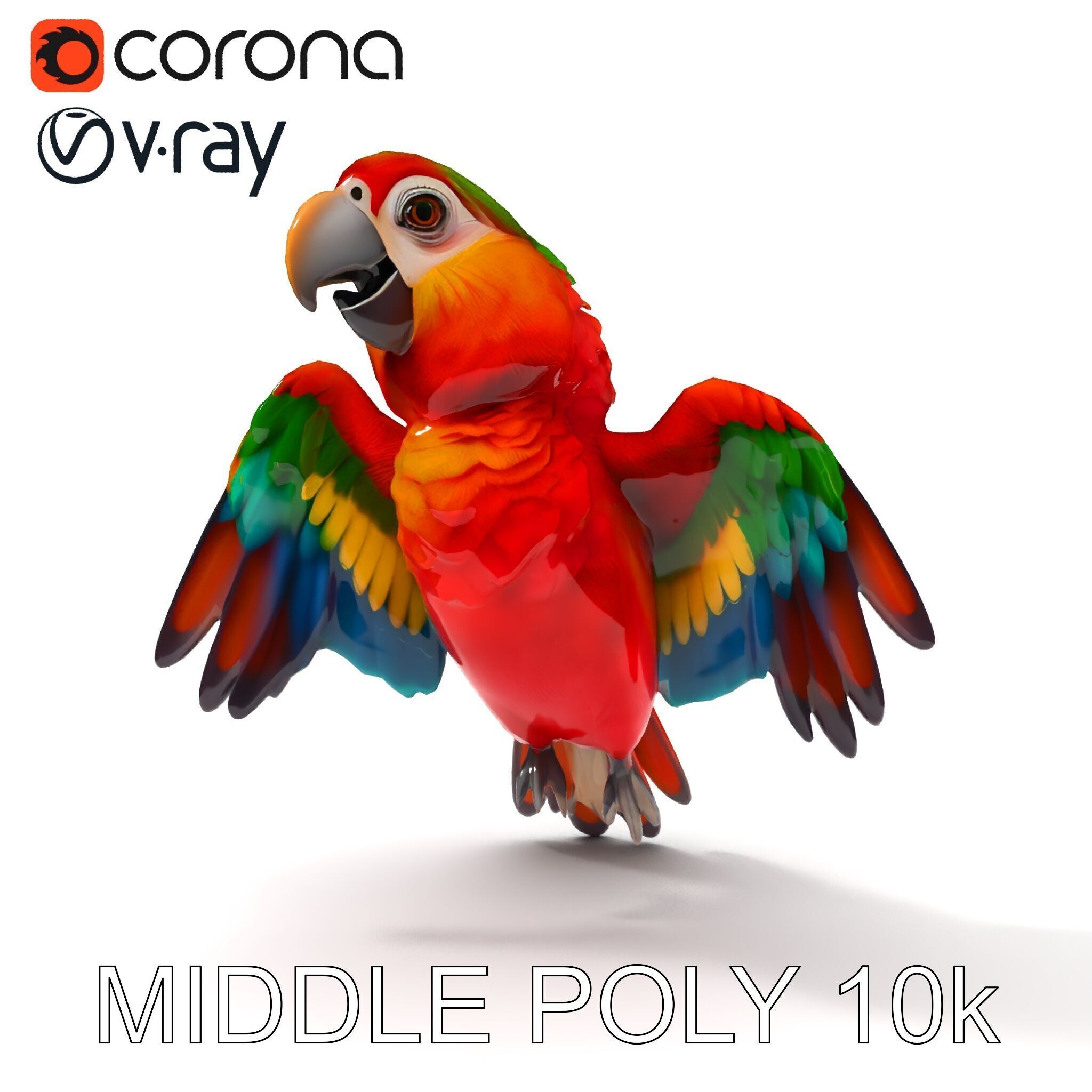 Colorful Parrot D Model Pack for Animation and Games Low-poly 3D model_6