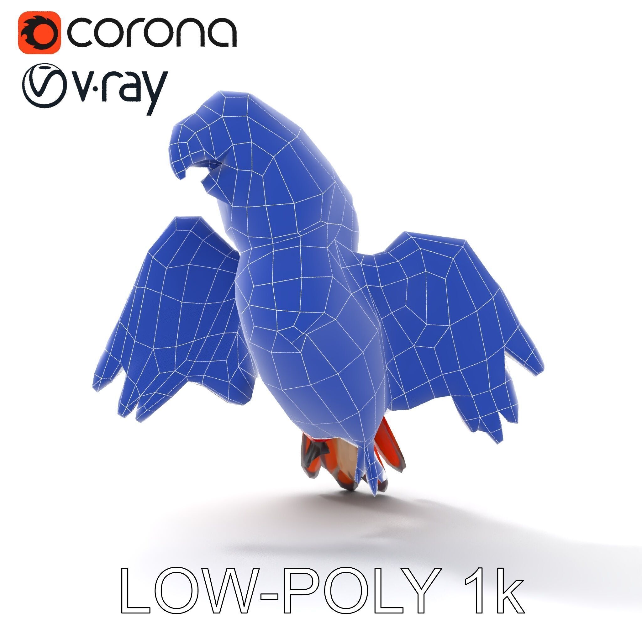 Colorful Parrot D Model Pack for Animation and Games Low-poly 3D model_26