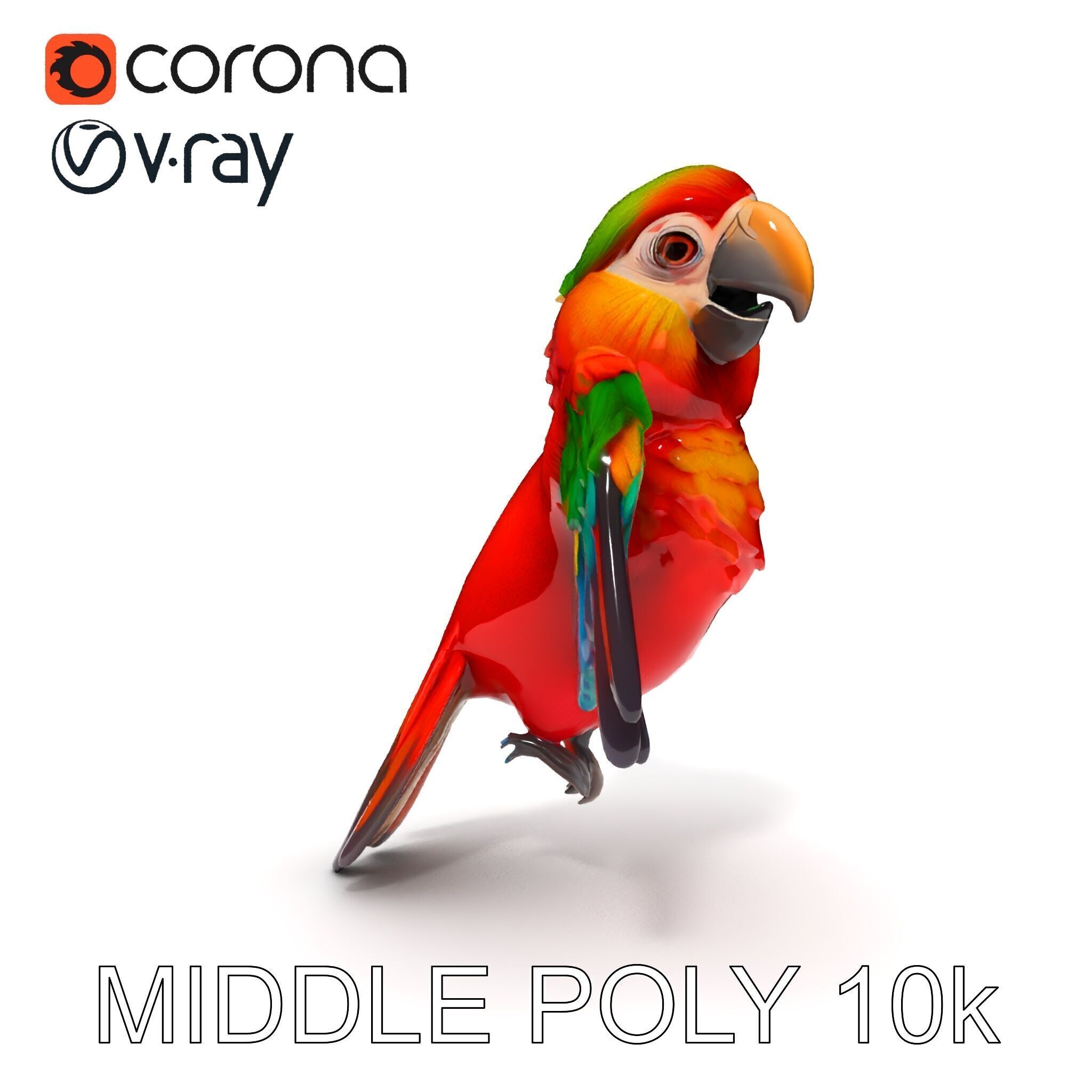Colorful Parrot D Model Pack for Animation and Games Low-poly 3D model_30
