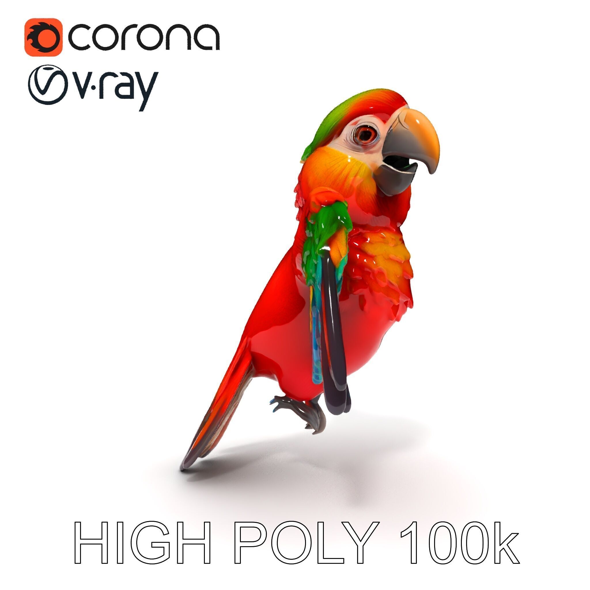 Colorful Parrot D Model Pack for Animation and Games Low-poly 3D model_8