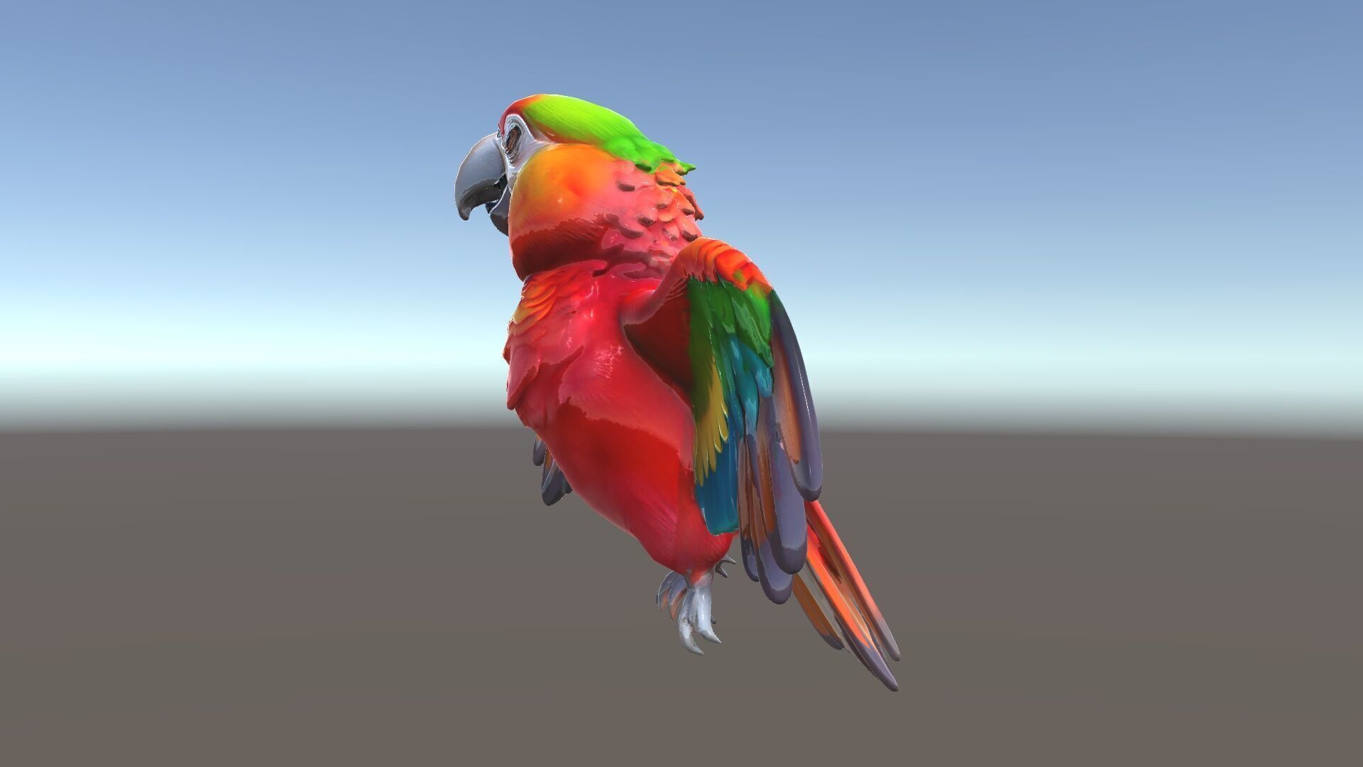Colorful Parrot D Model Pack for Animation and Games Low-poly 3D model_25