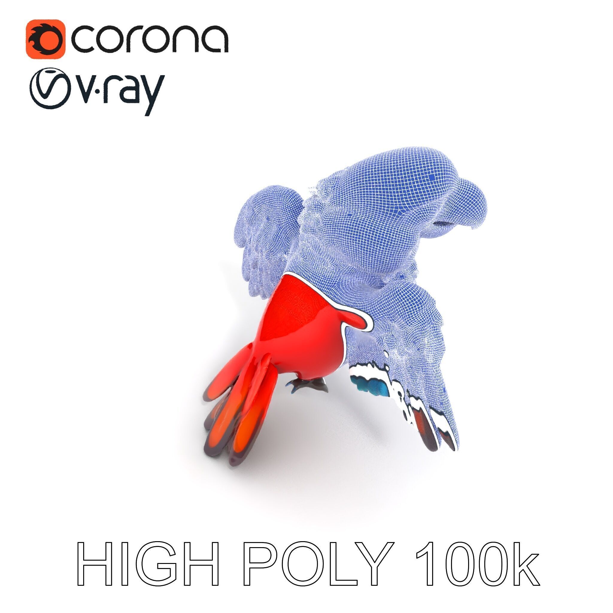 Colorful Parrot D Model Pack for Animation and Games Low-poly 3D model_35