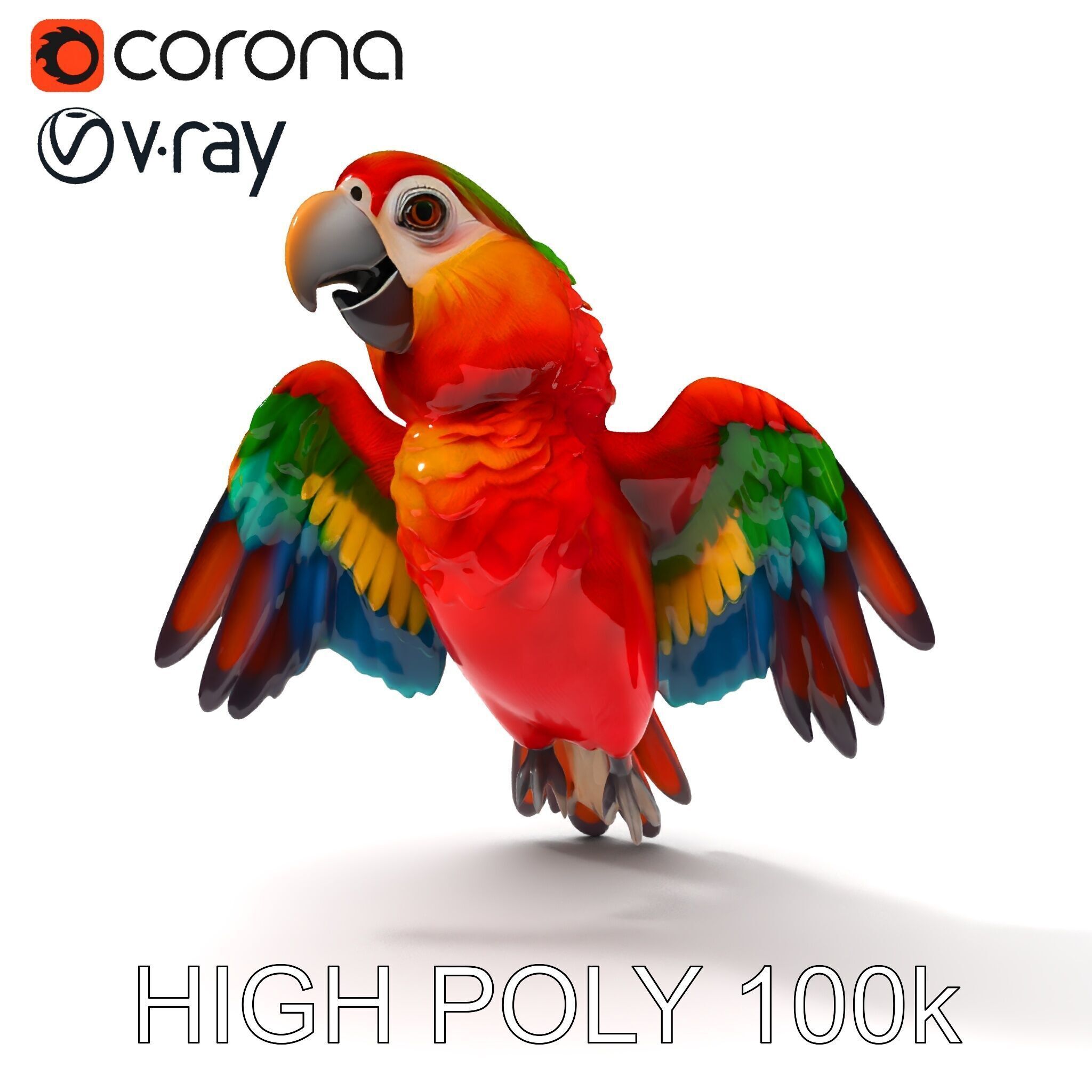 Colorful Parrot D Model Pack for Animation and Games Low-poly 3D model_17