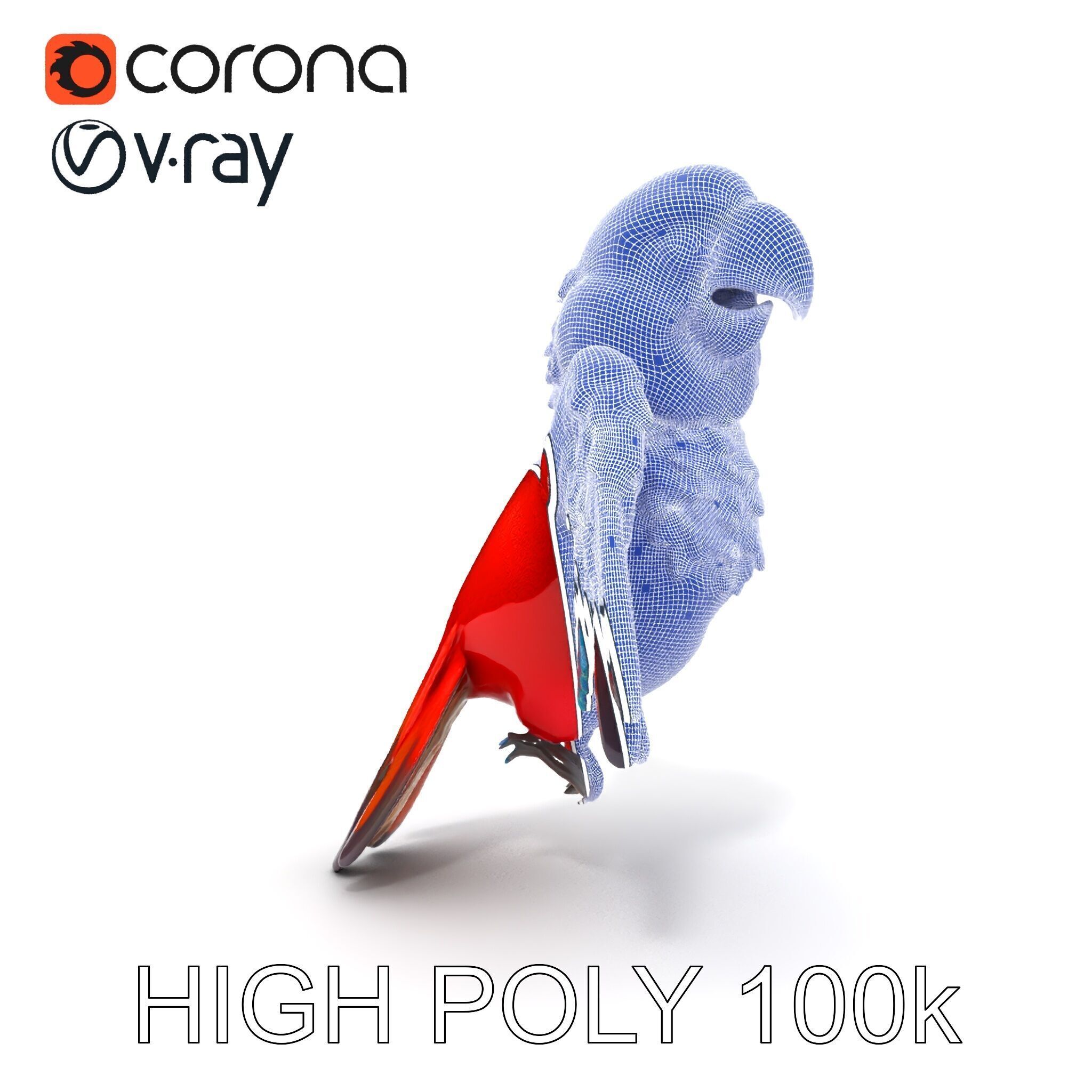 Colorful Parrot D Model Pack for Animation and Games Low-poly 3D model_20